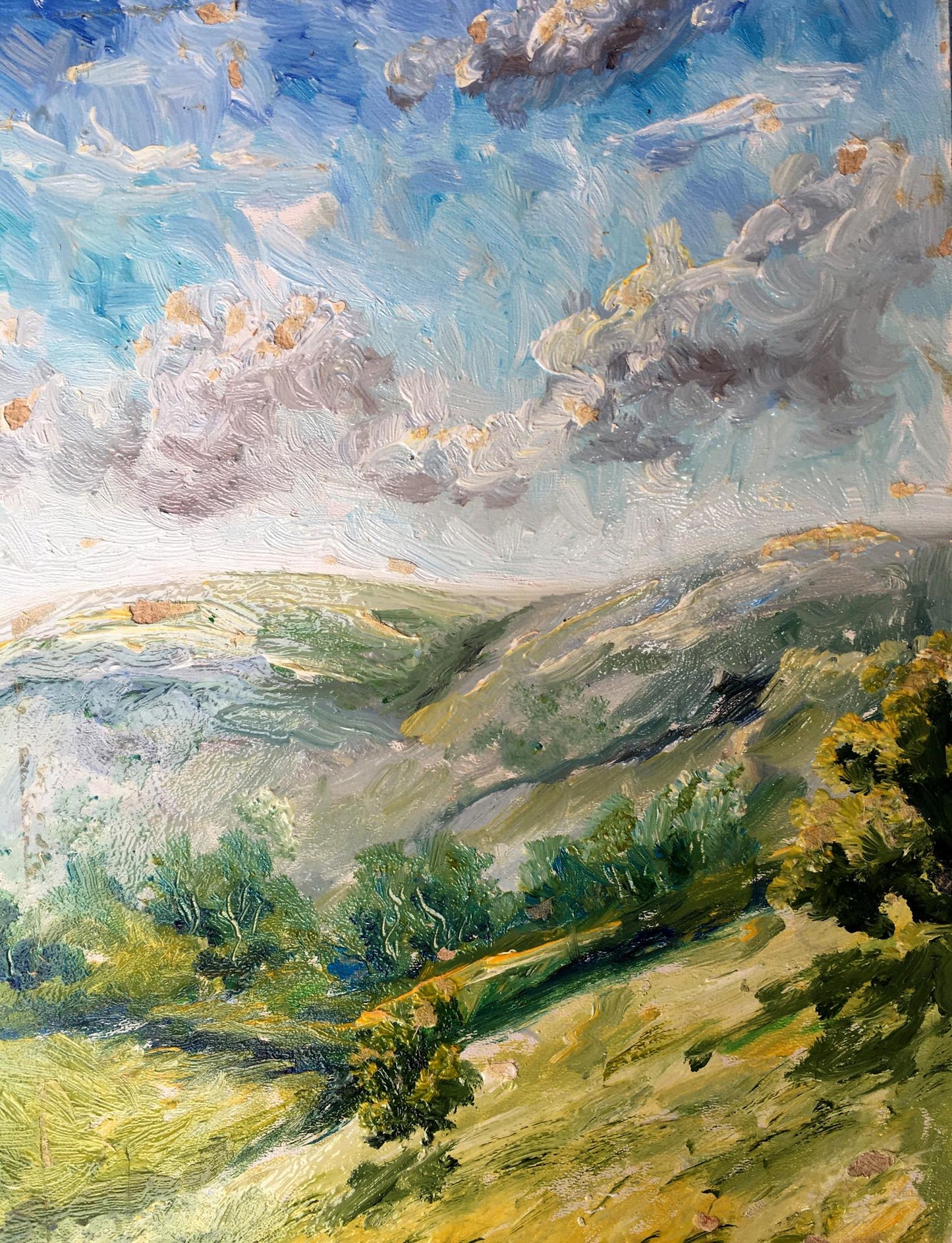 Oil painting After the rain Unknown artist