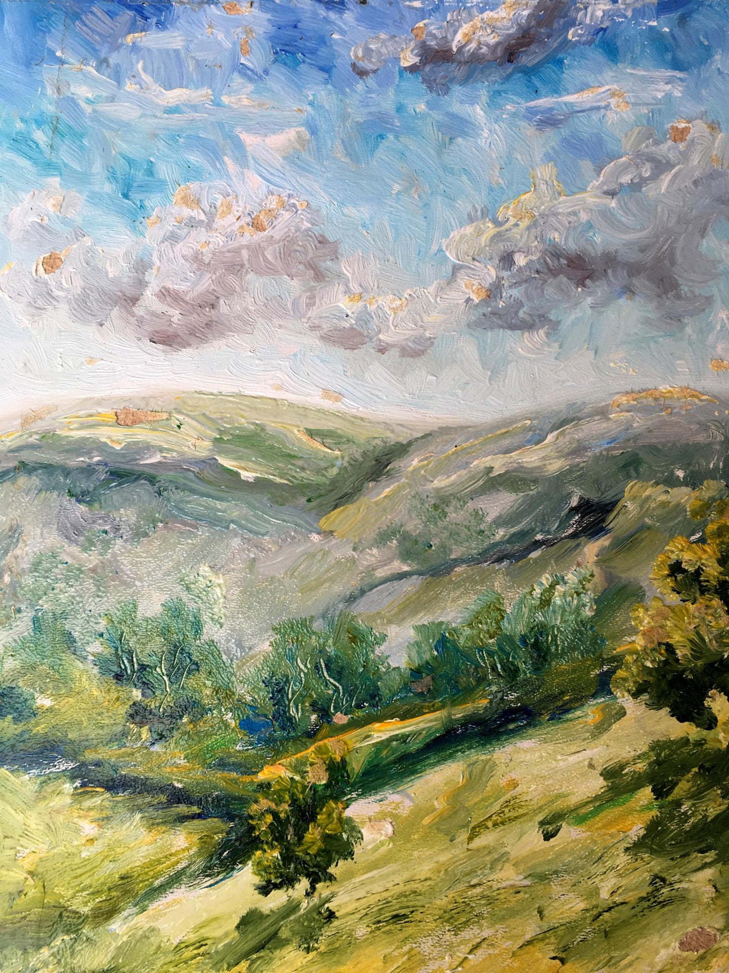 Oil painting After the rain Unknown artist