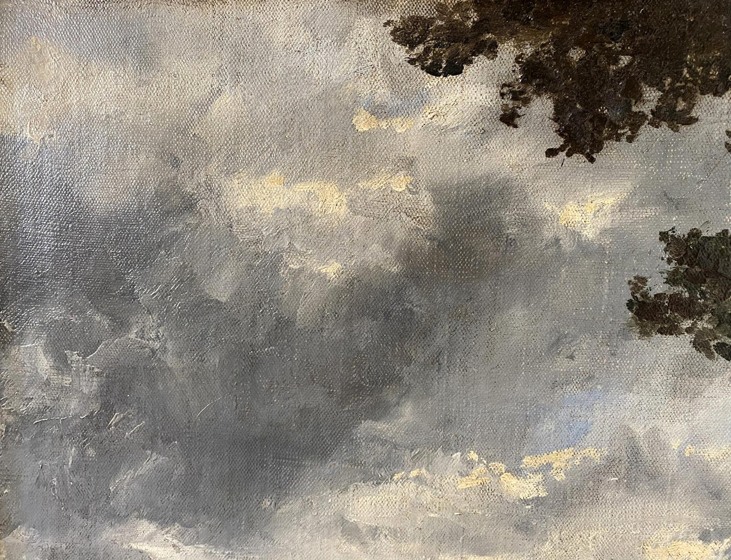 Oil painting Beautiful forest