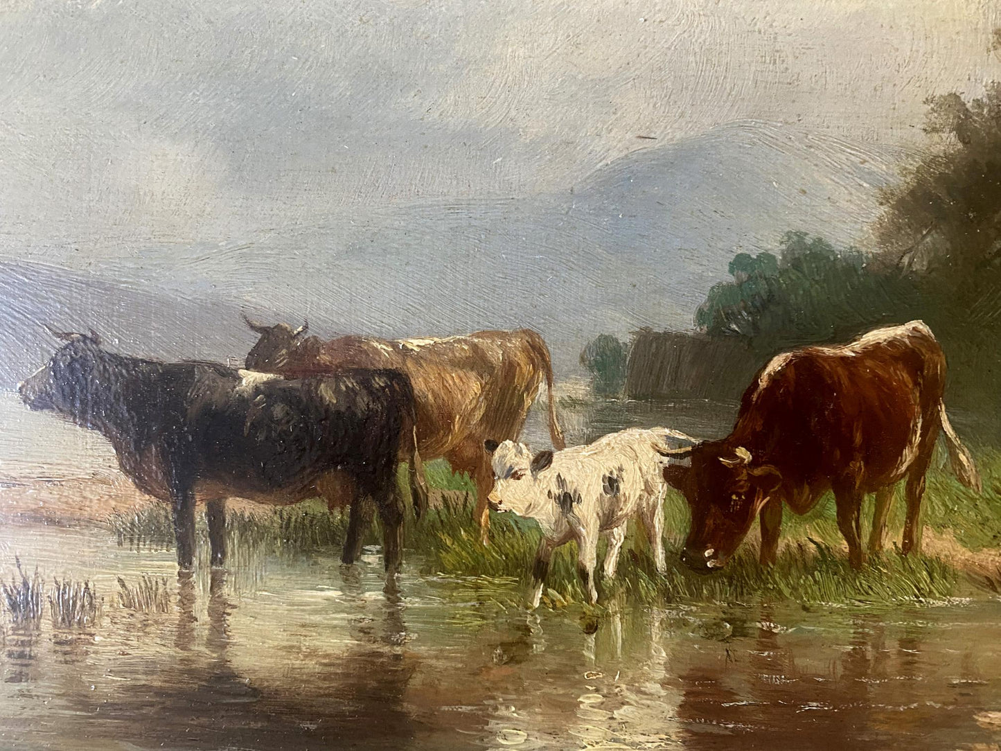 Oil painting Cows at the waterhole European artist