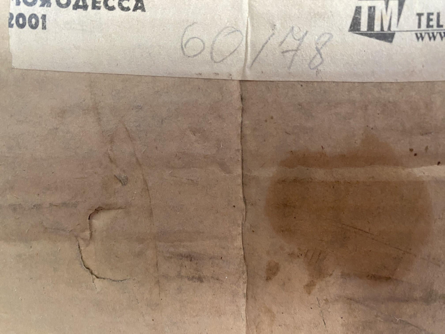 Oil painting Portrait of a girl Nikolai Nikolaevich Prokopenko