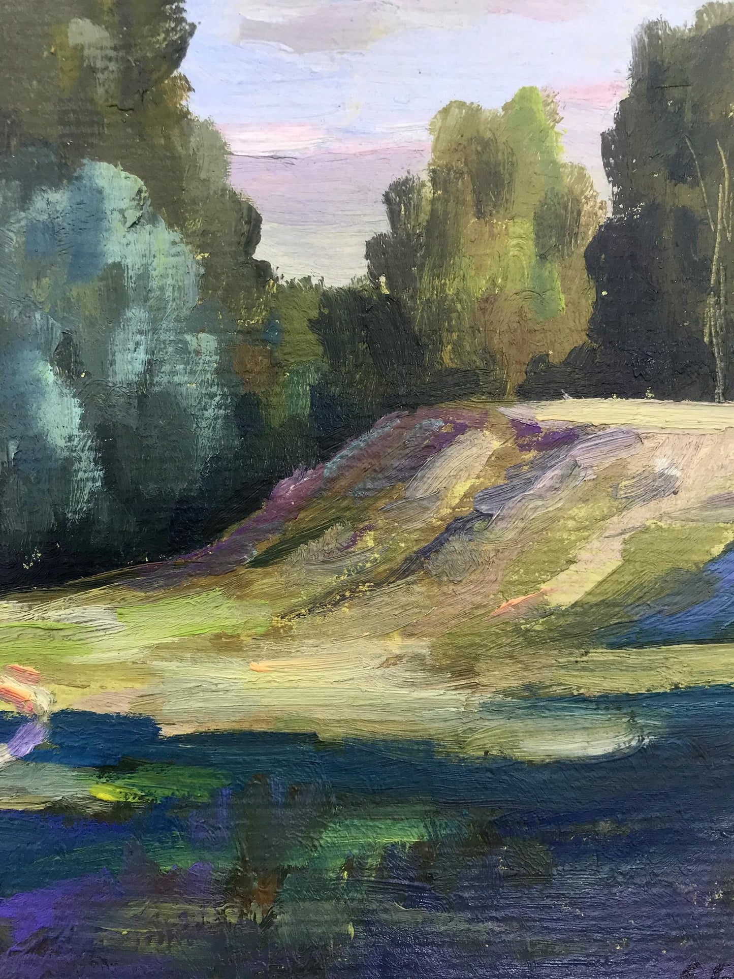 Forest landscape