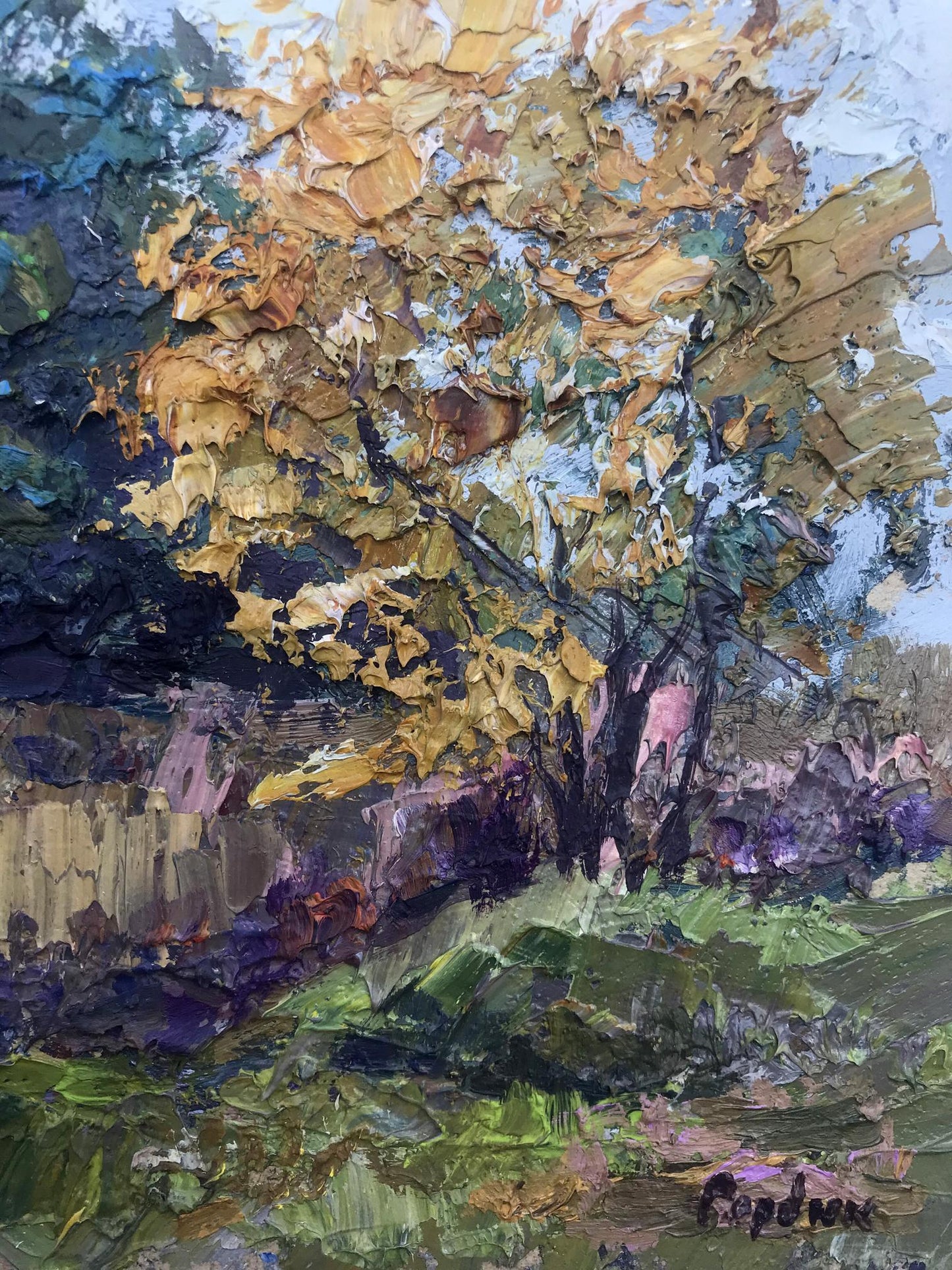 Forest landscape