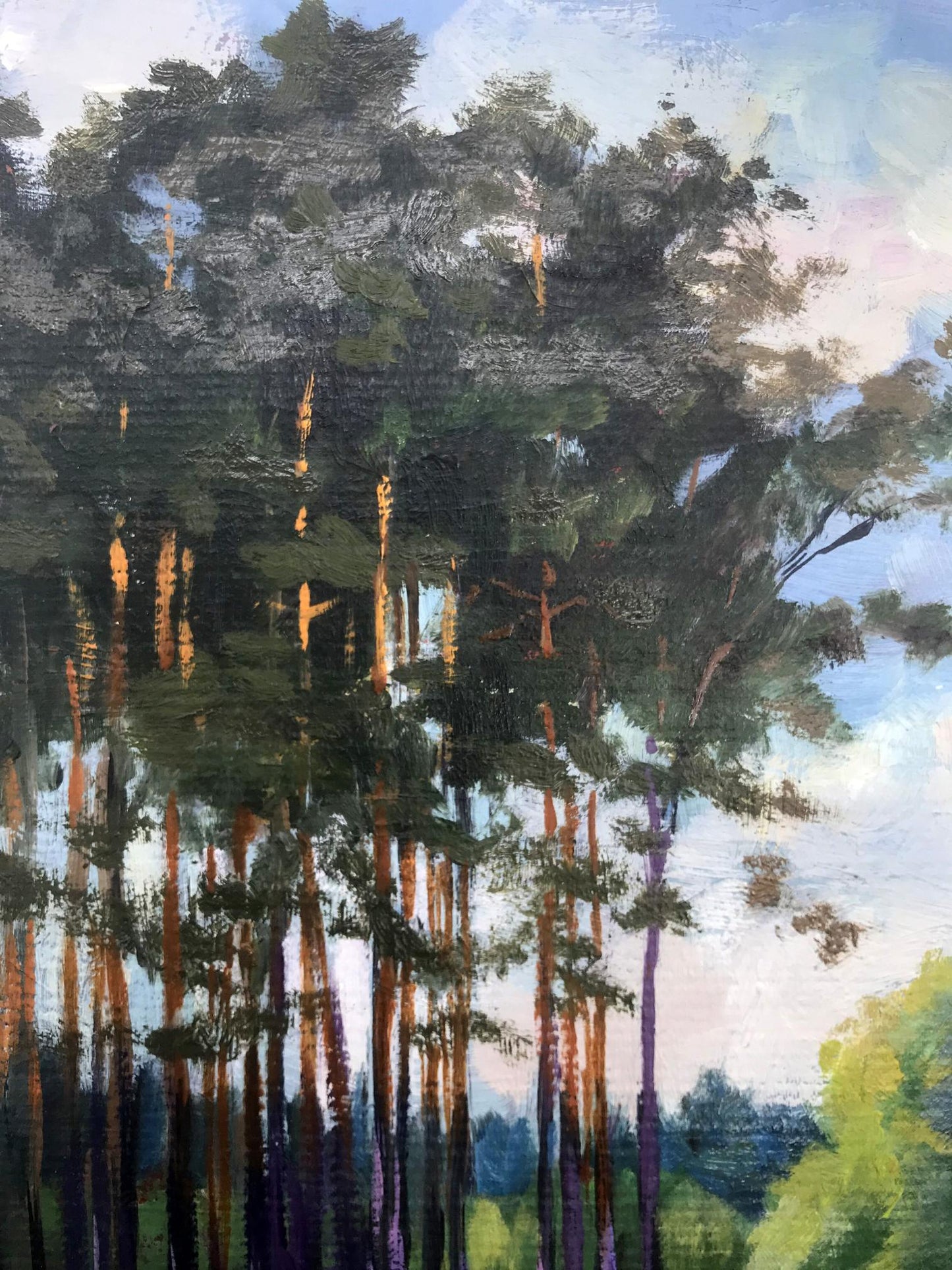 Oil Painting Nature Landscape