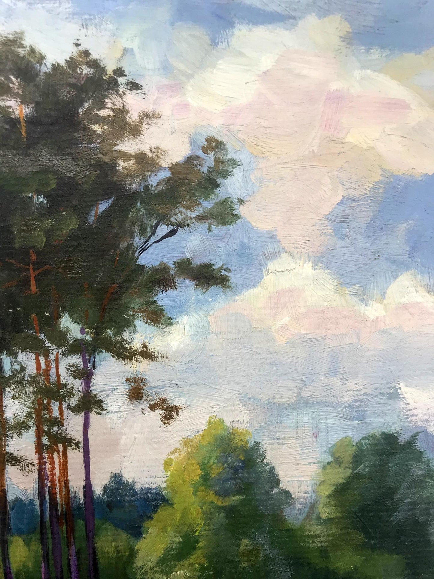 Nature Landscape
