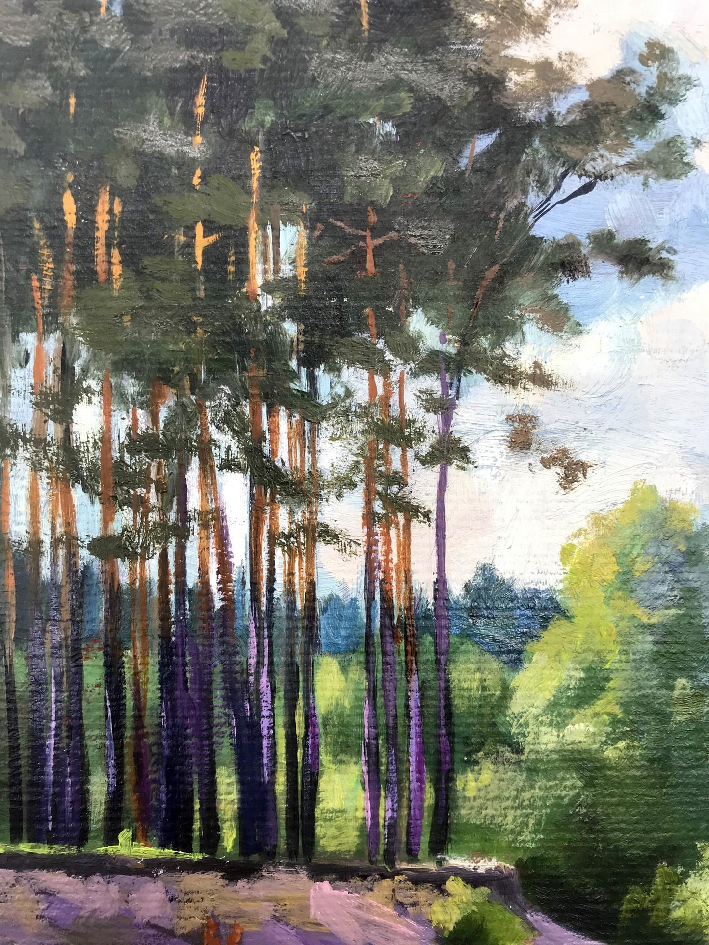 Summer Landscape
