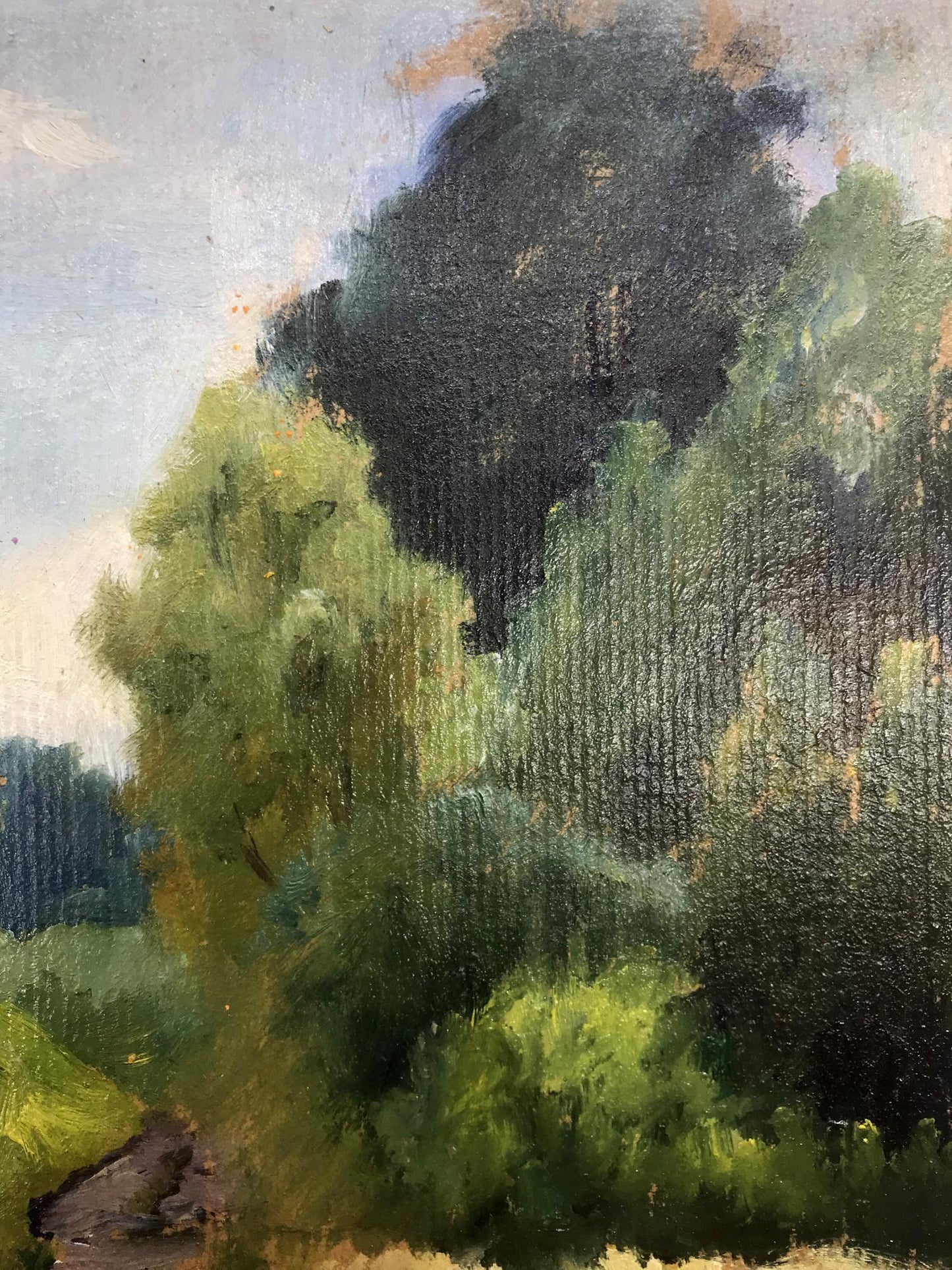 Oil Painting Nature