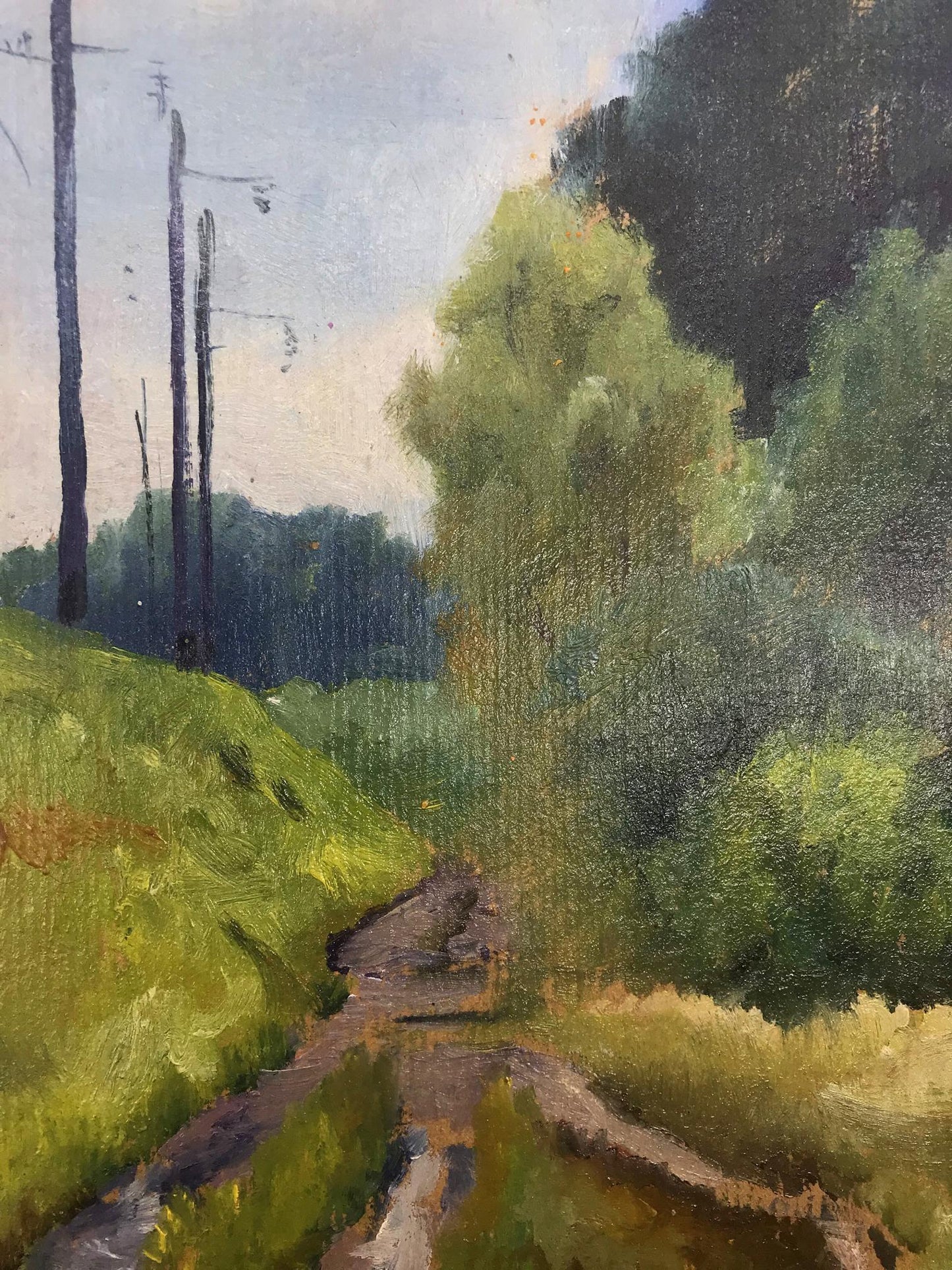 Nature Landscape