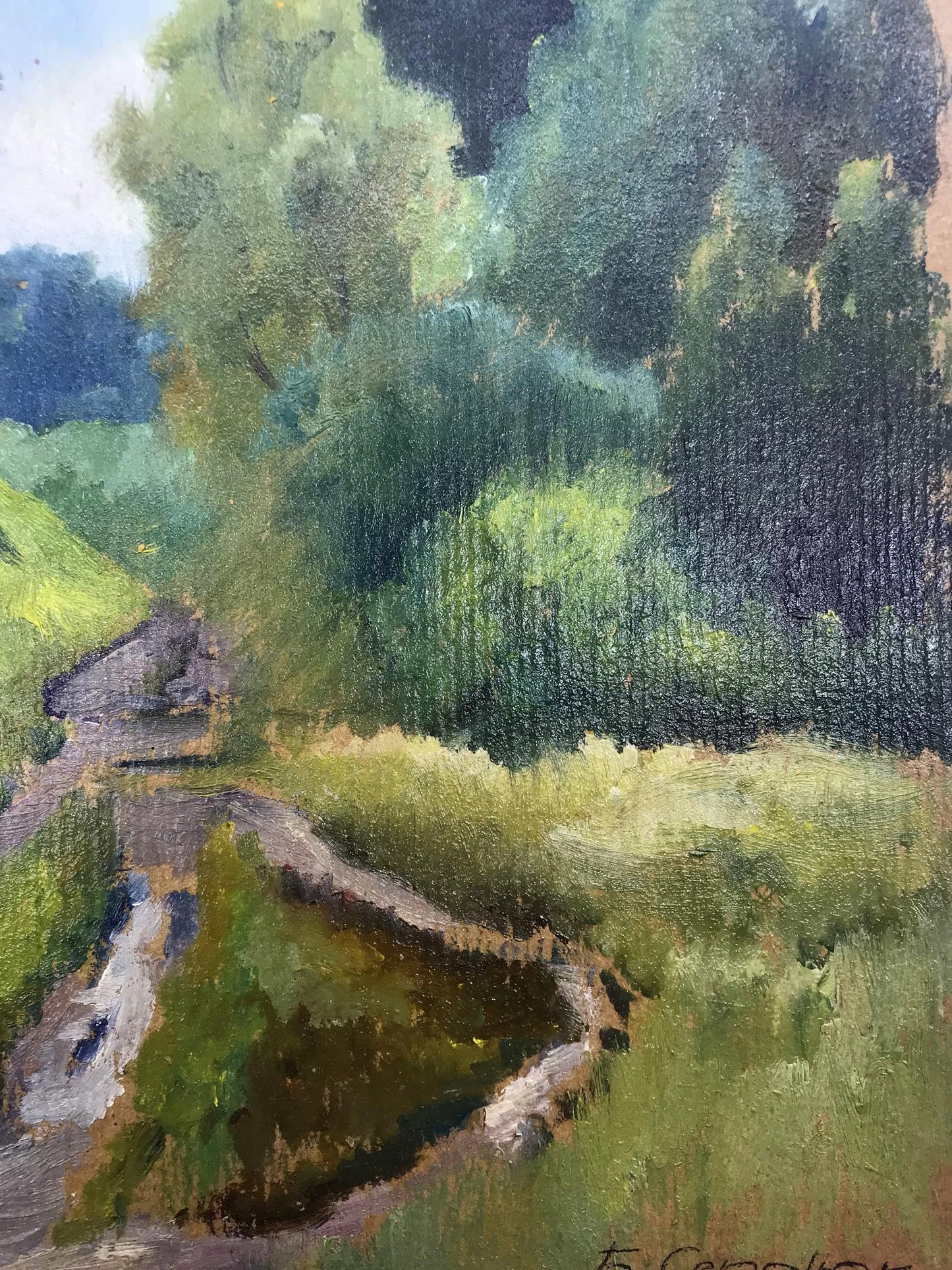 Forest landscape