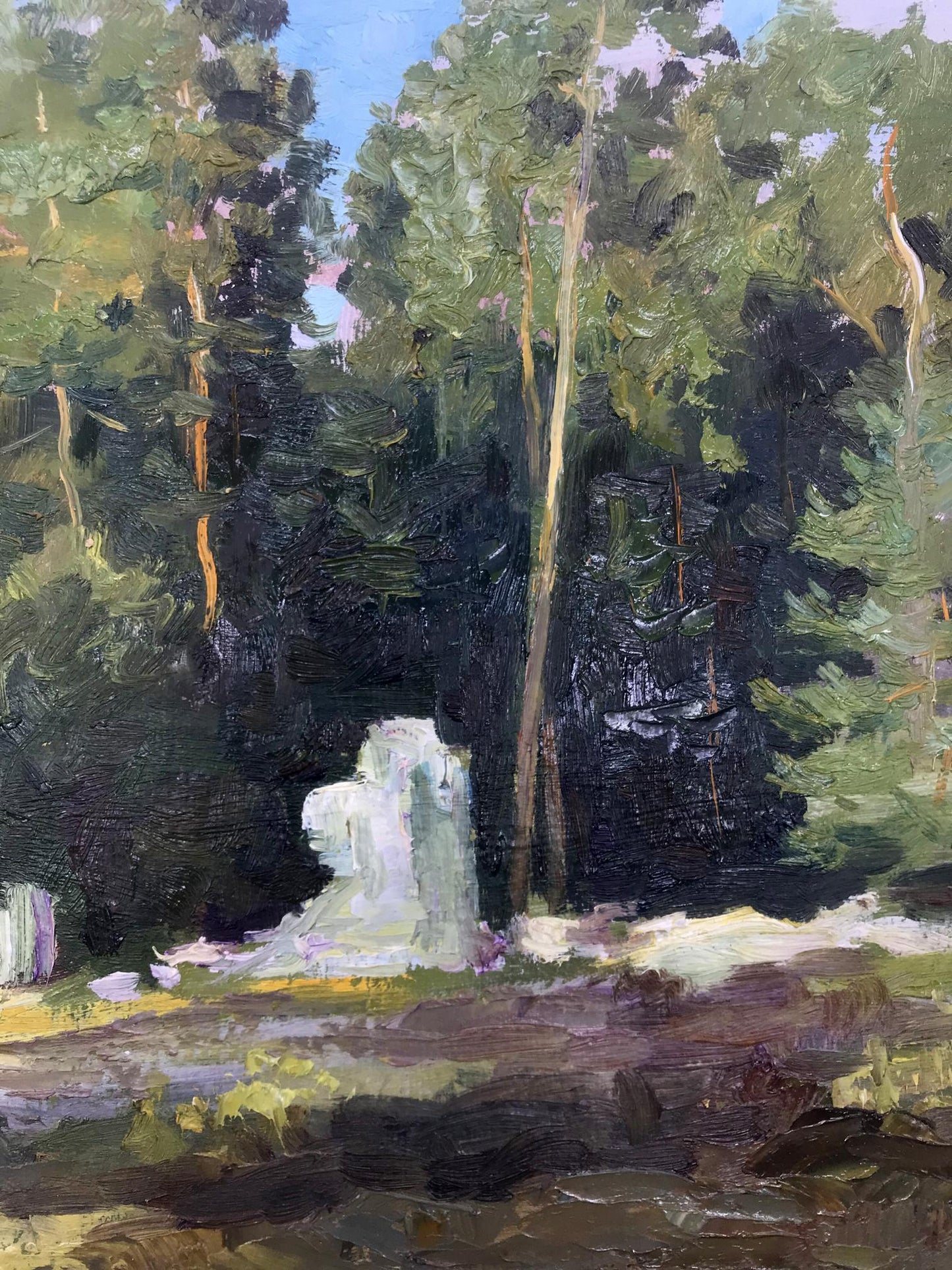 Forest Nature Landscape