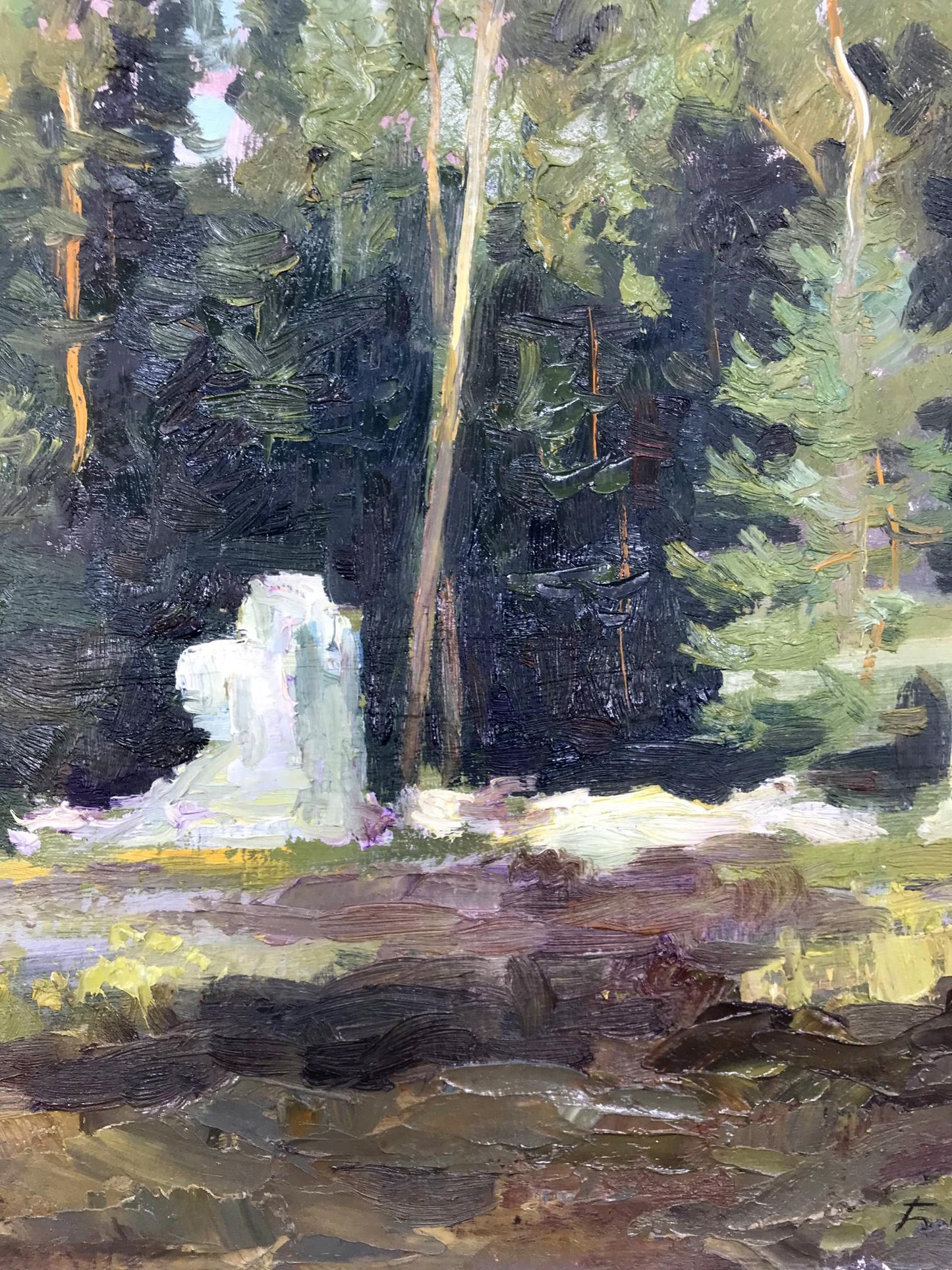 Forest Landscape