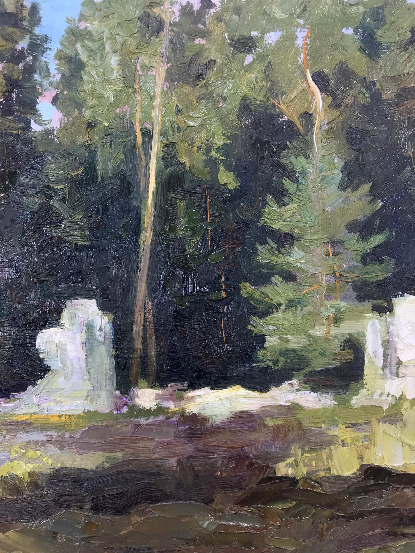 Rural landscape