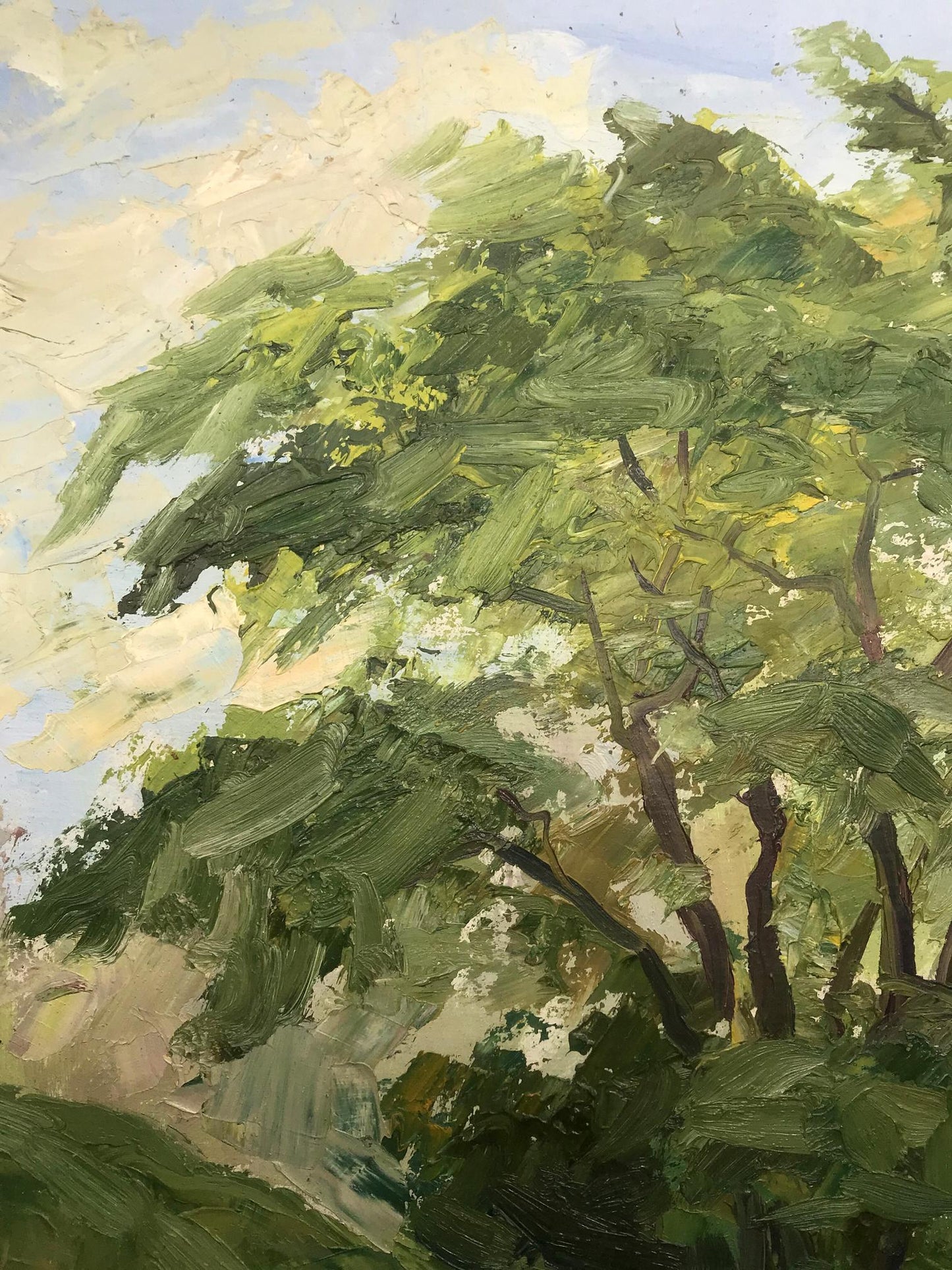 Oil Painting Nature Landscape