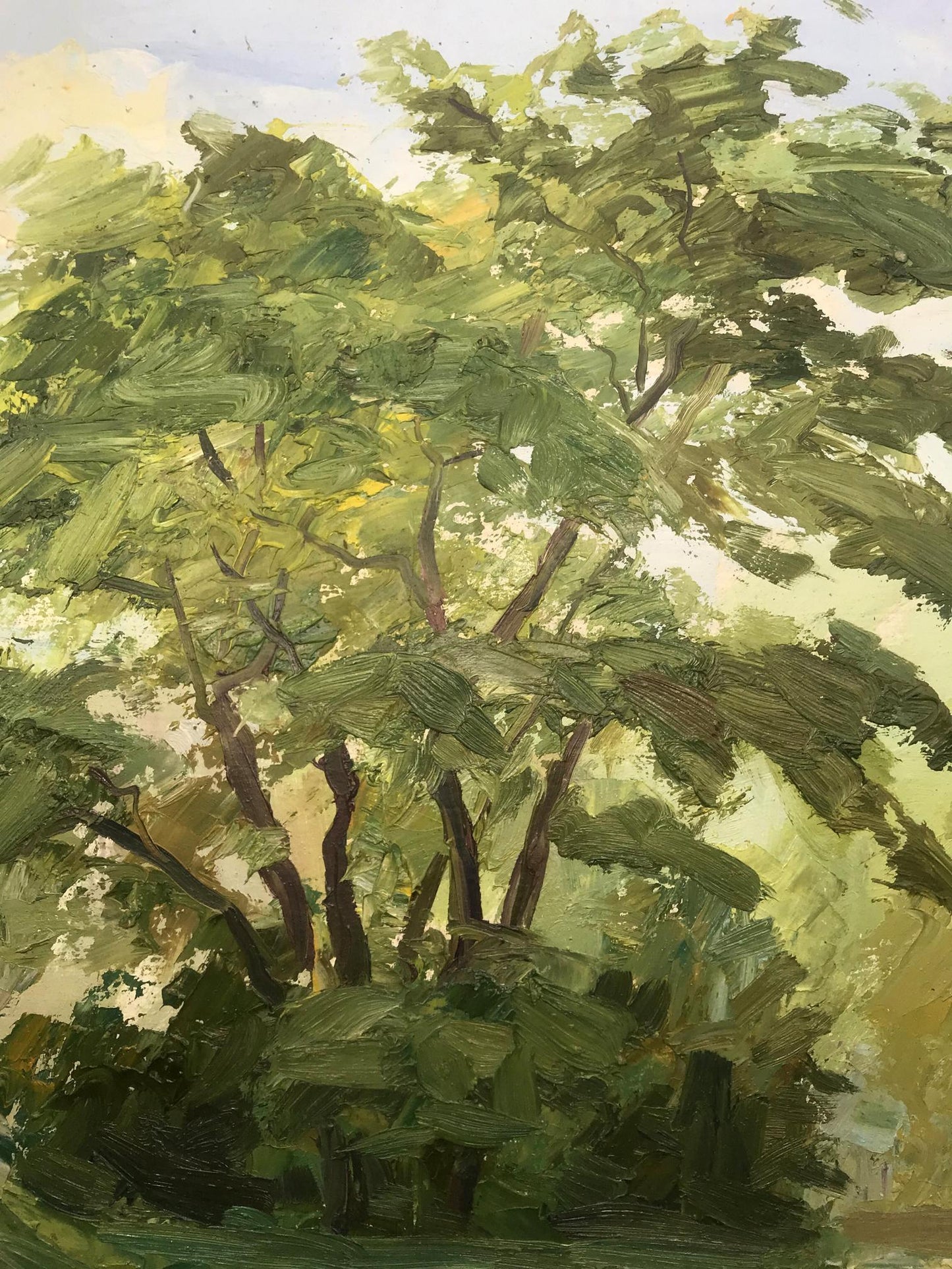 Oil Painting Nature