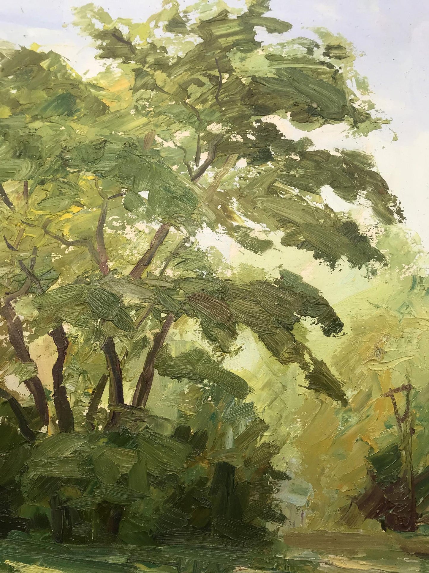 Nature Landscape