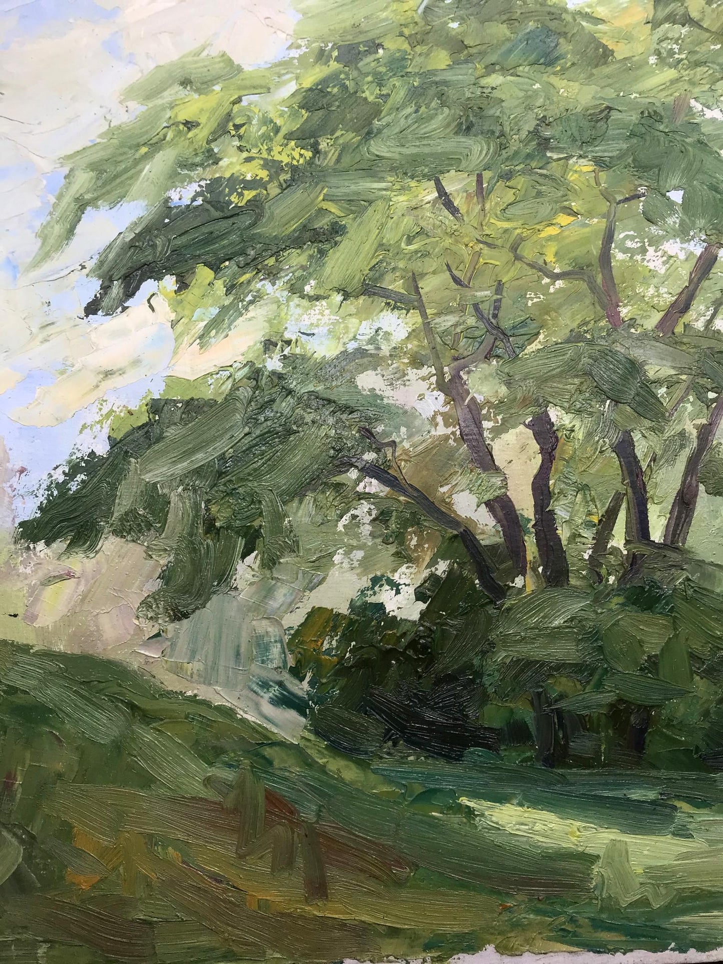 Landscape