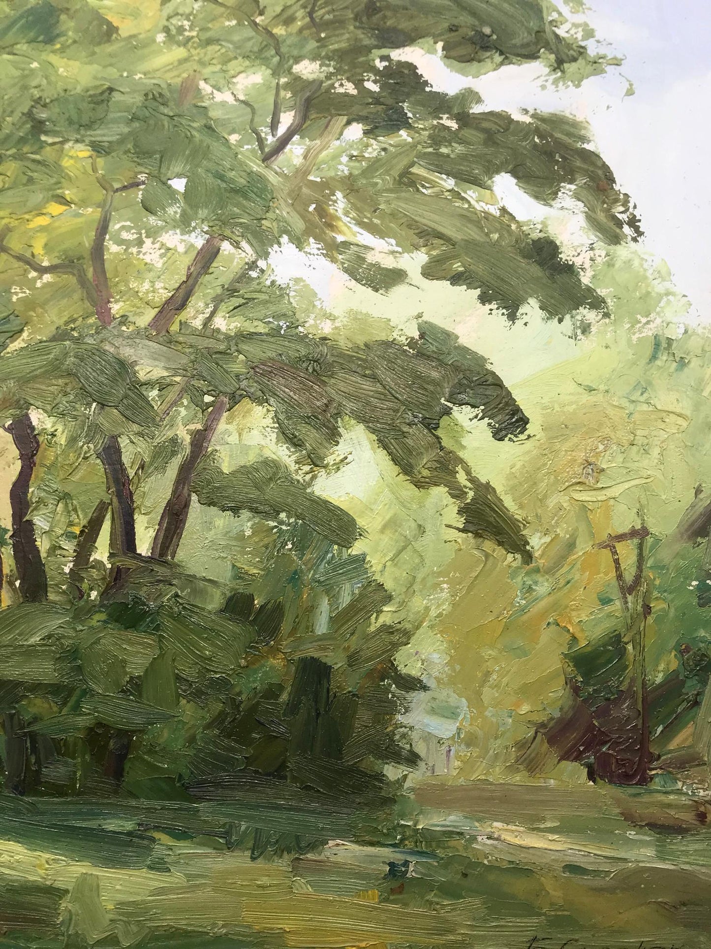 Forest landscape