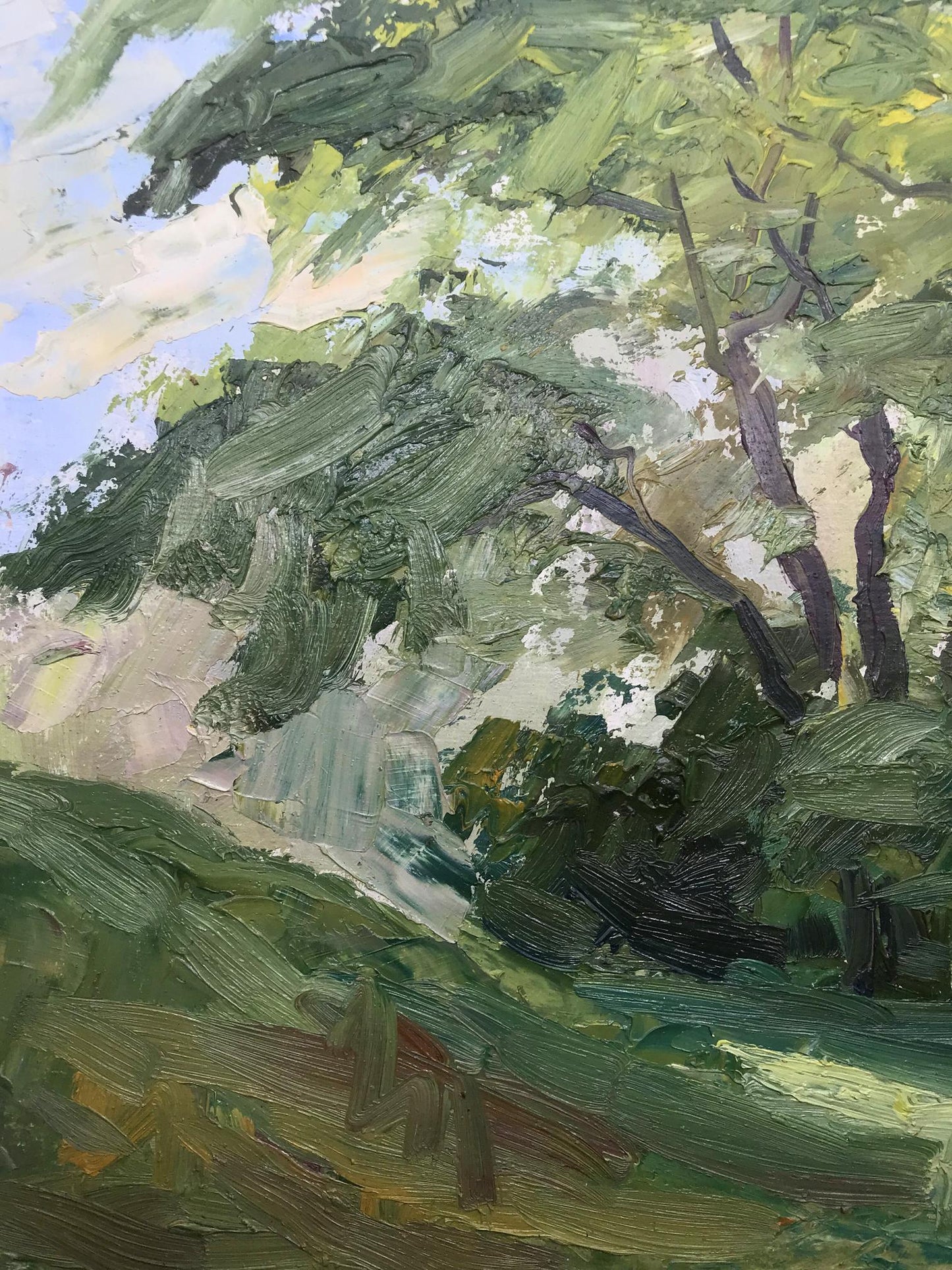 Summer Landscape