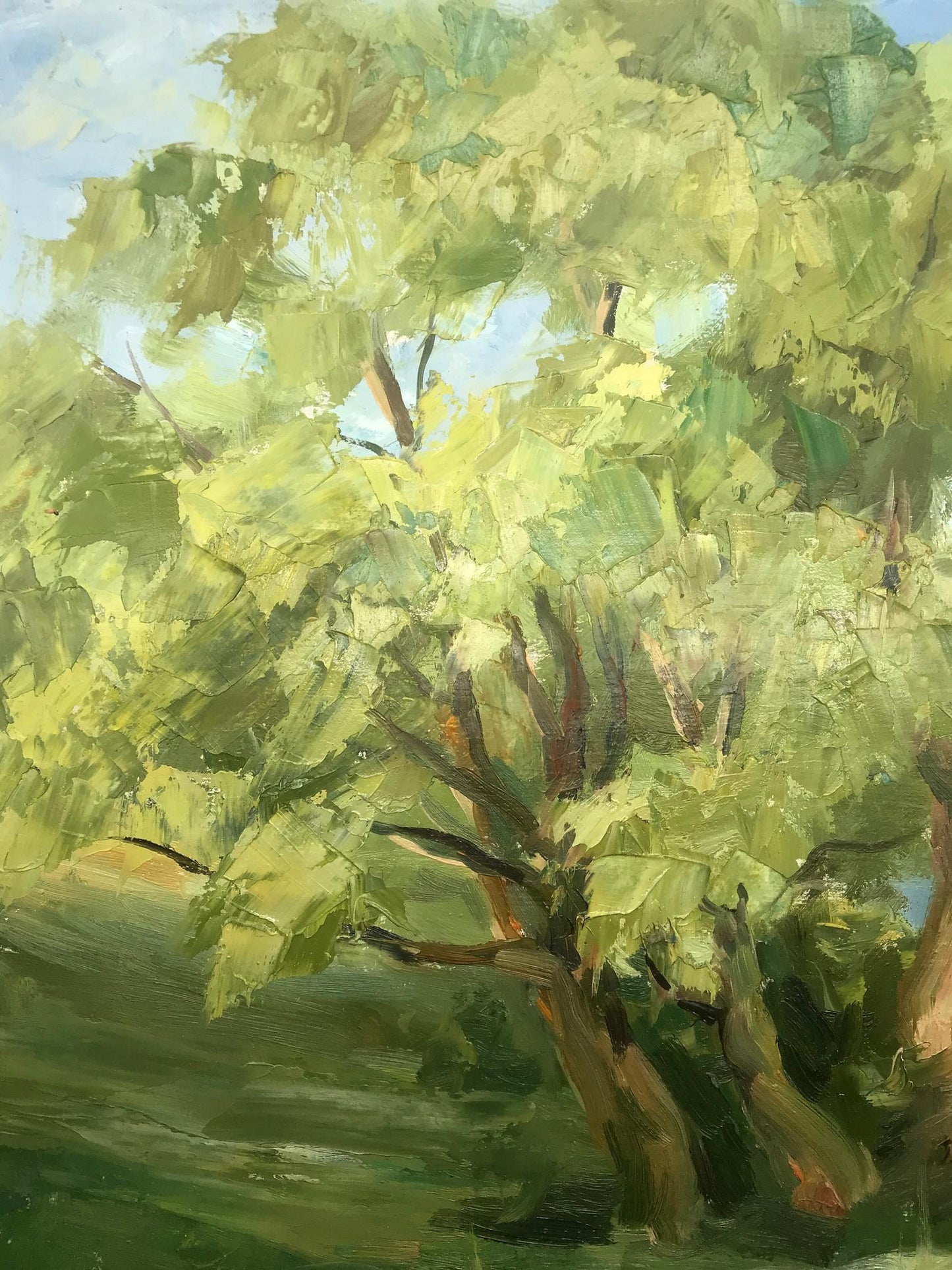 Oil Painting Nature Landscape