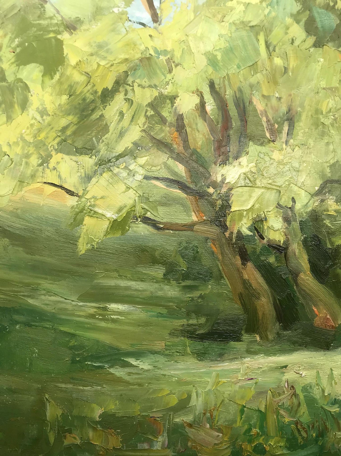 Nature Landscape