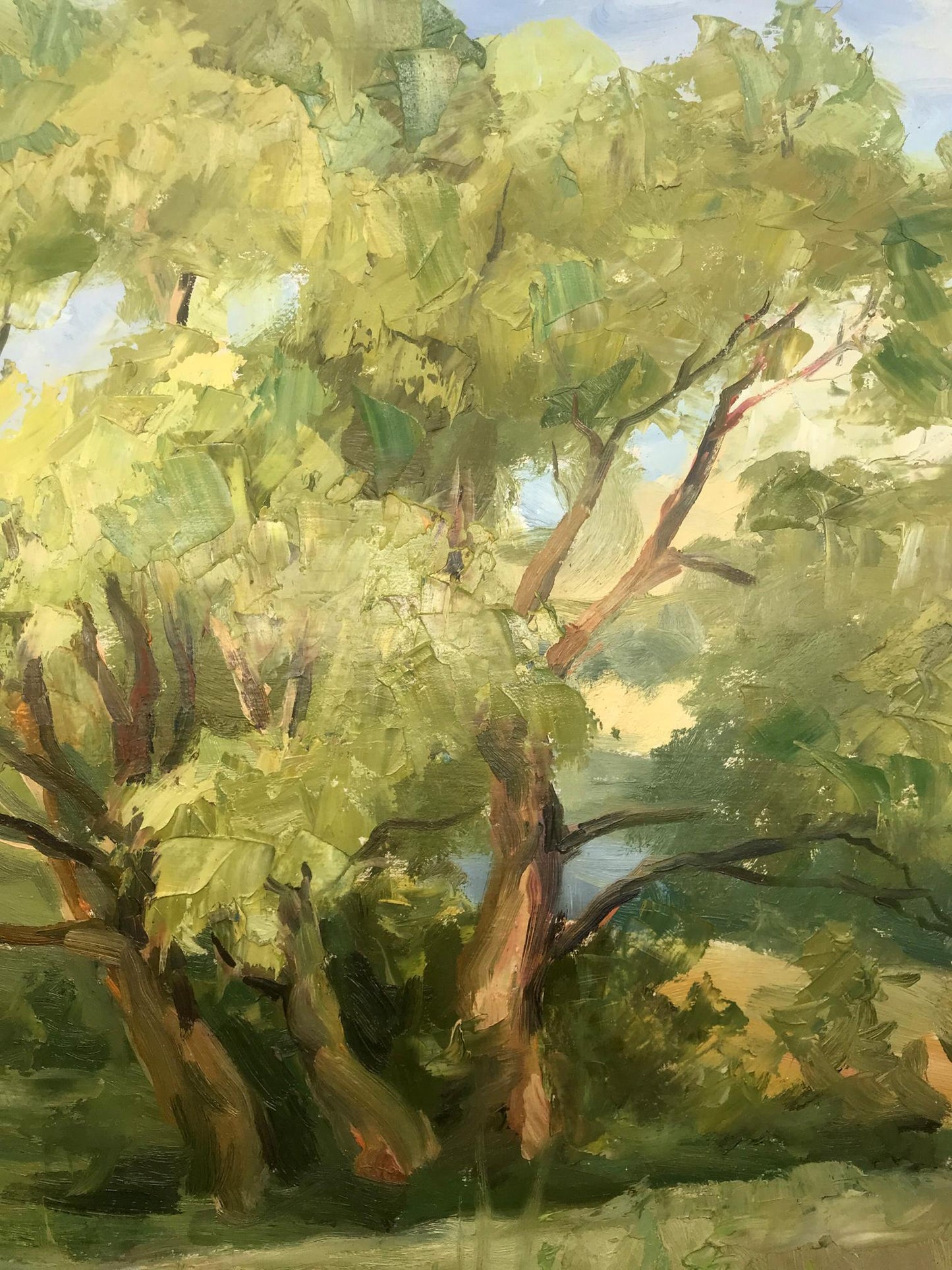 Landscape