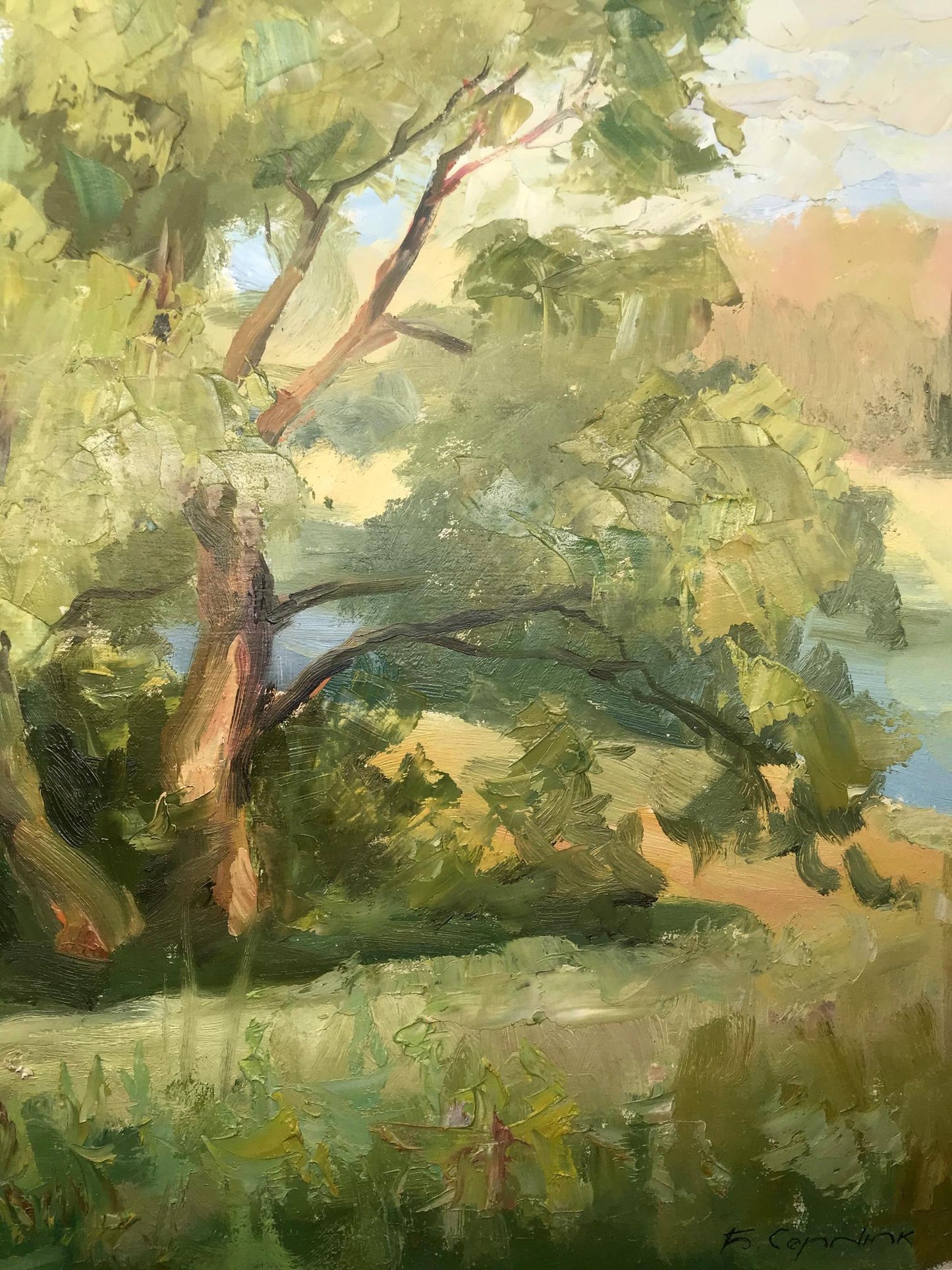 River landscape