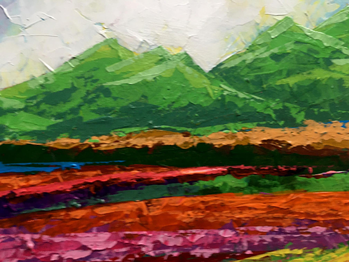 Oil painting Summer in the Carpathians Zadorozhnya V. V.