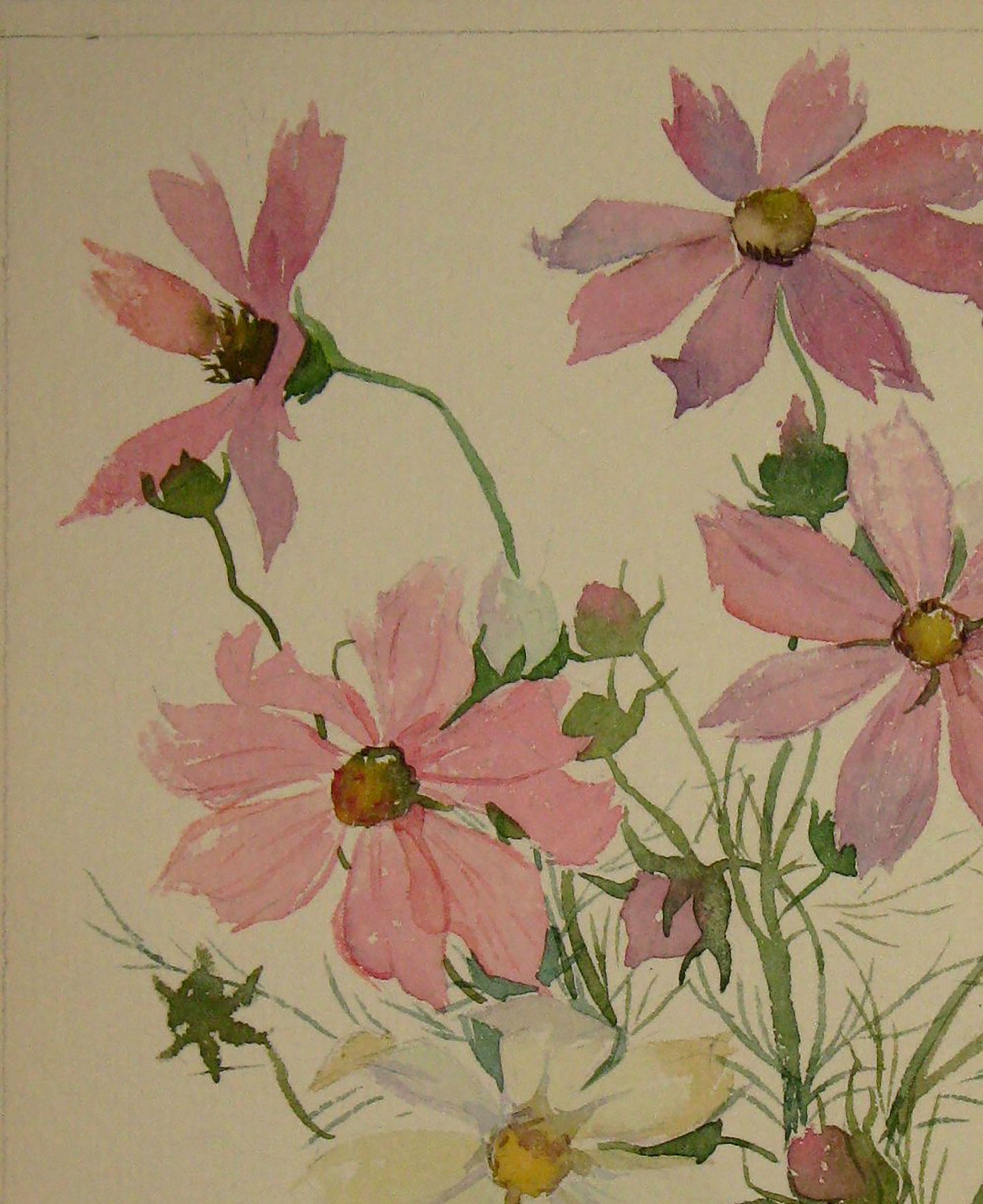 Watercolor painting Peonies Flowers Savenets Valery
