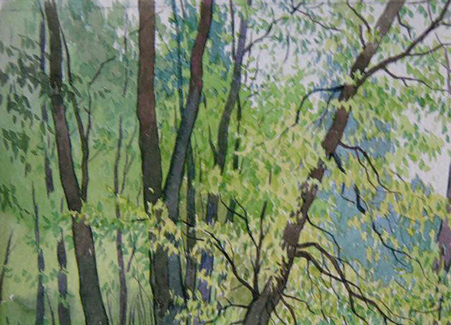 Watercolor painting Summer Nature Landscape Savenets Valery