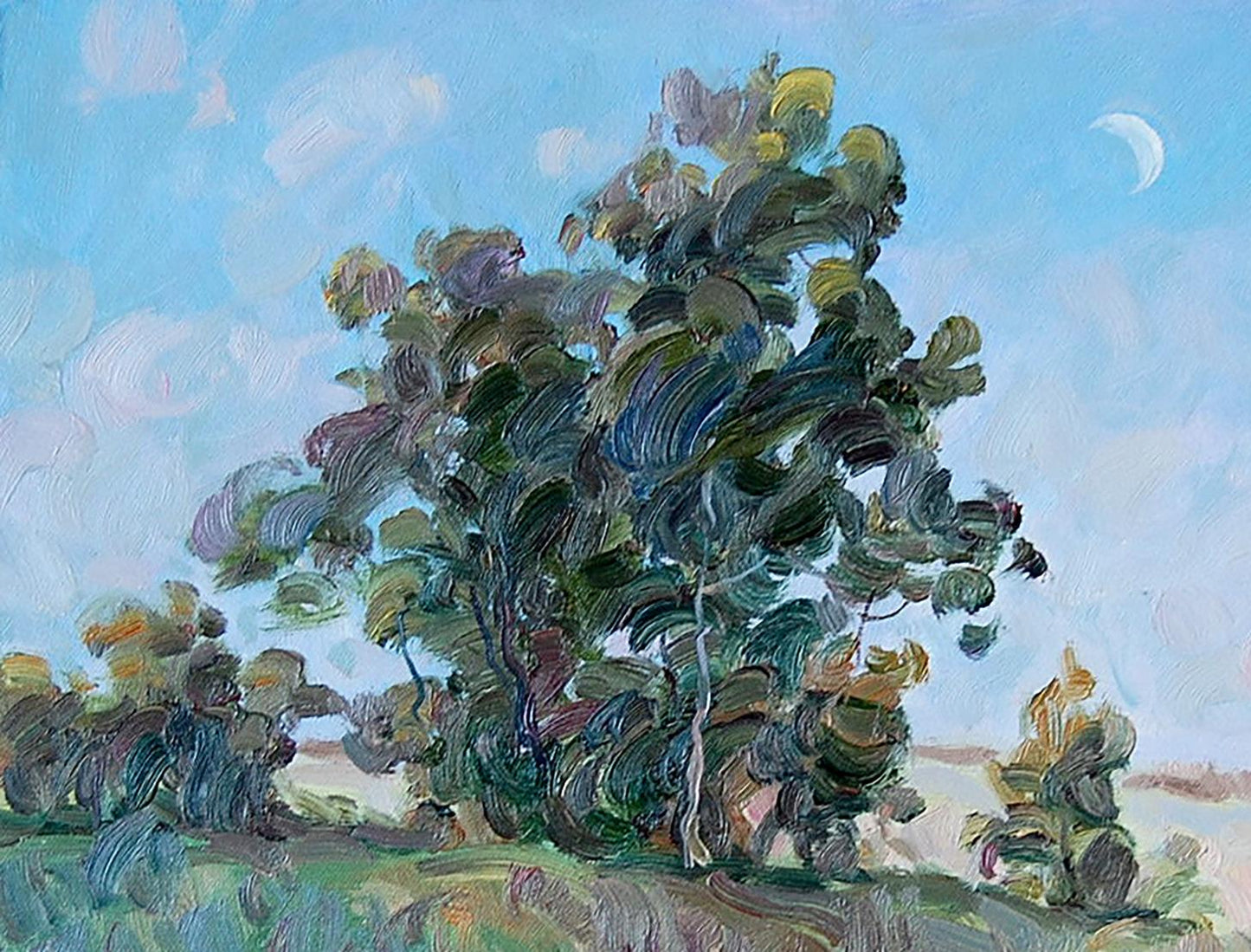 Oil painting Evening Nature Landscape