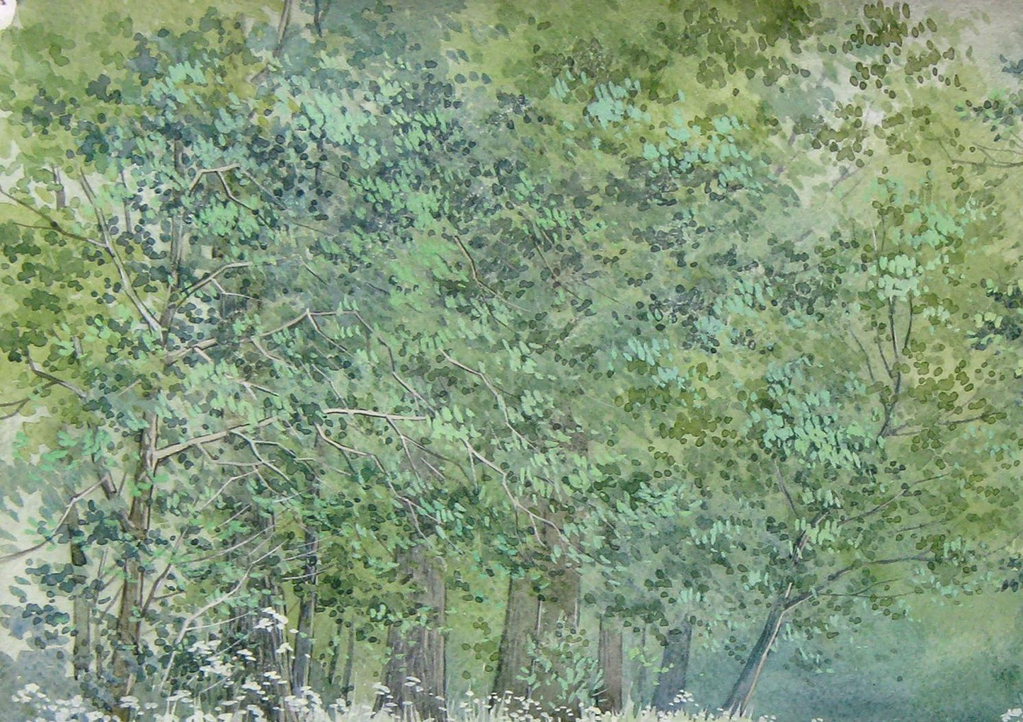 Watercolor painting Nature Landscape Savenets Valery