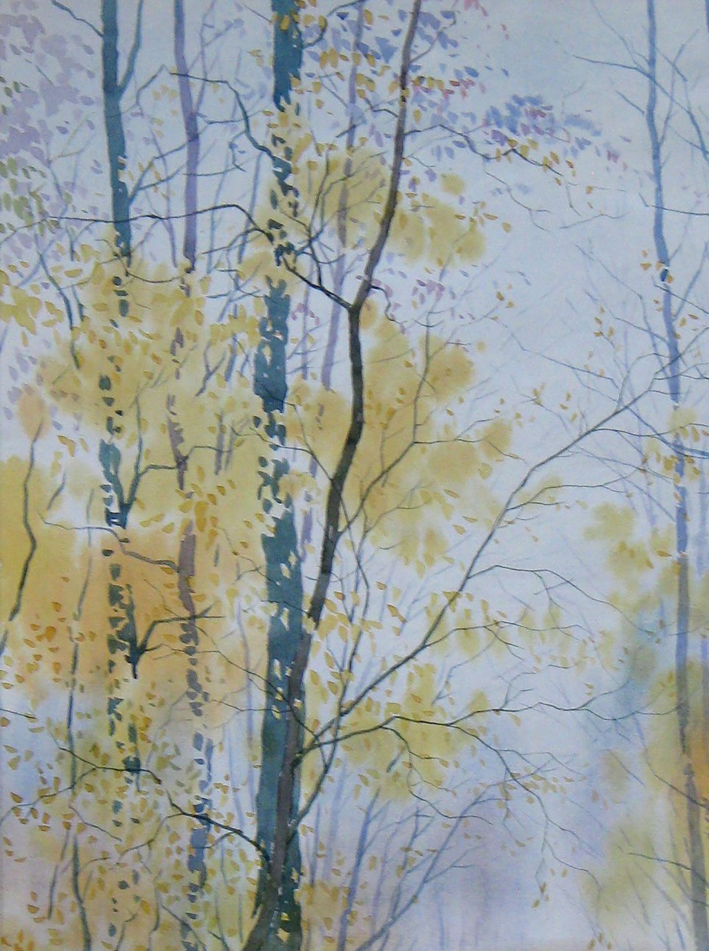 Watercolor painting Nature Landscape Valery Savenets