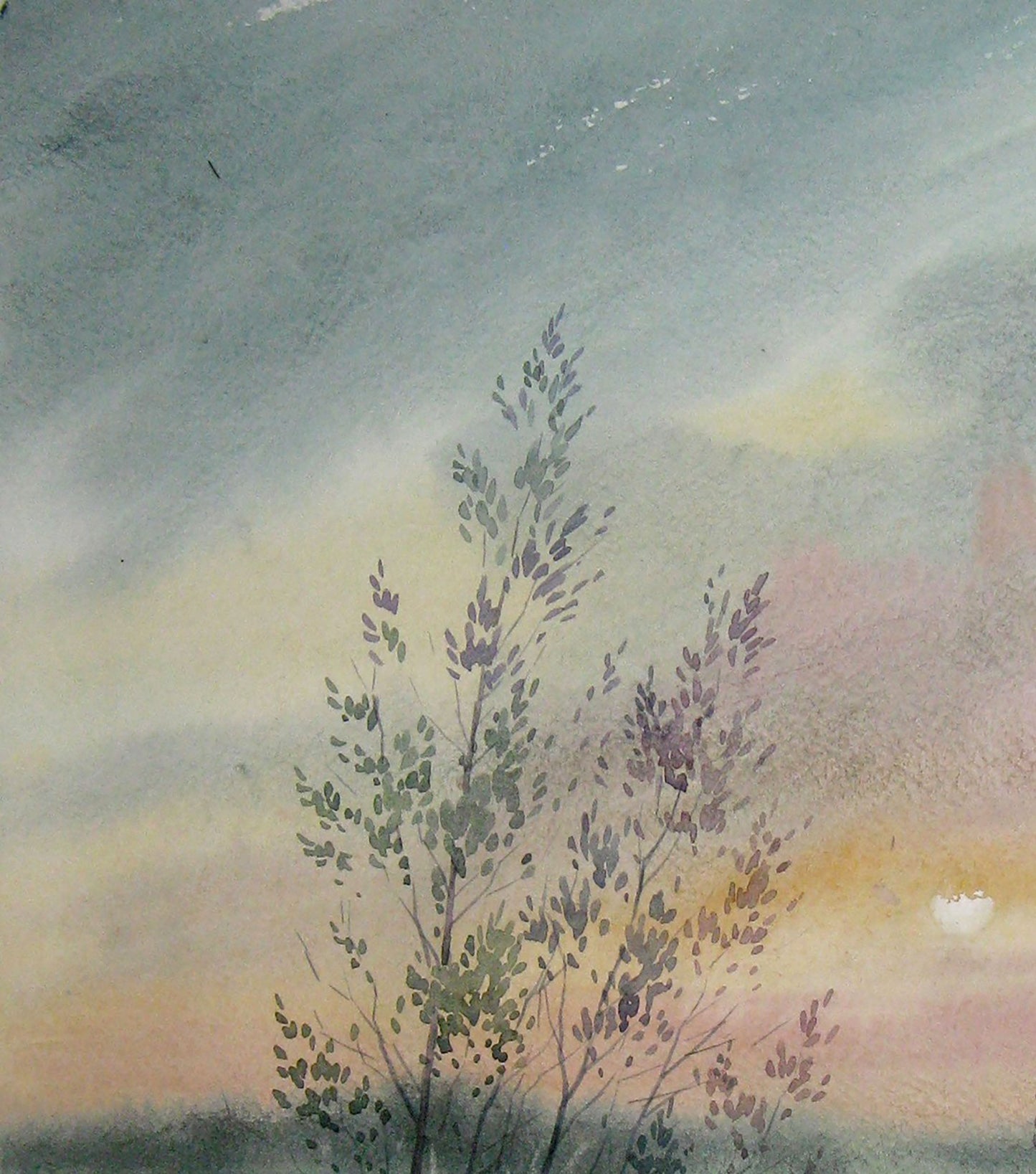Watercolor painting Sunset Nature Landscape Savenets Valery