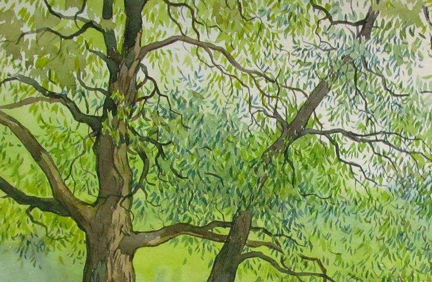 Watercolor painting landscape summer forest Savenets Valery
