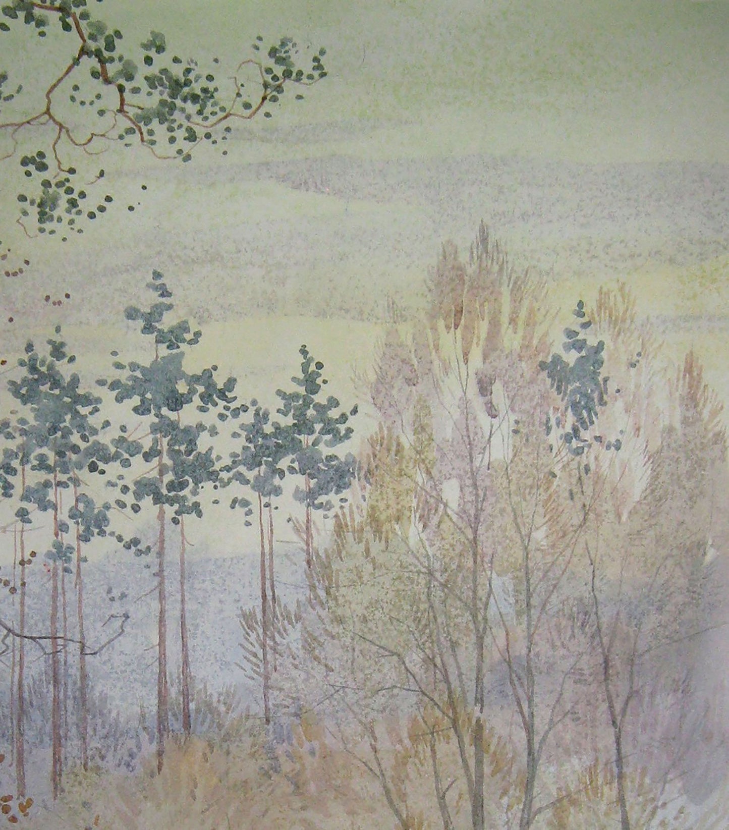 Winter Nature Landscape