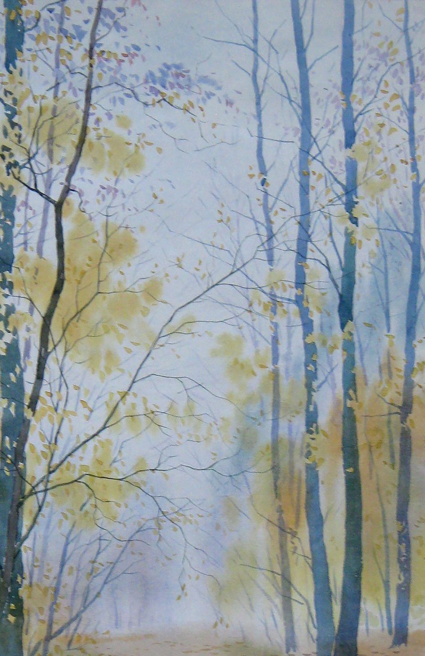 Autumn Nature Landscape