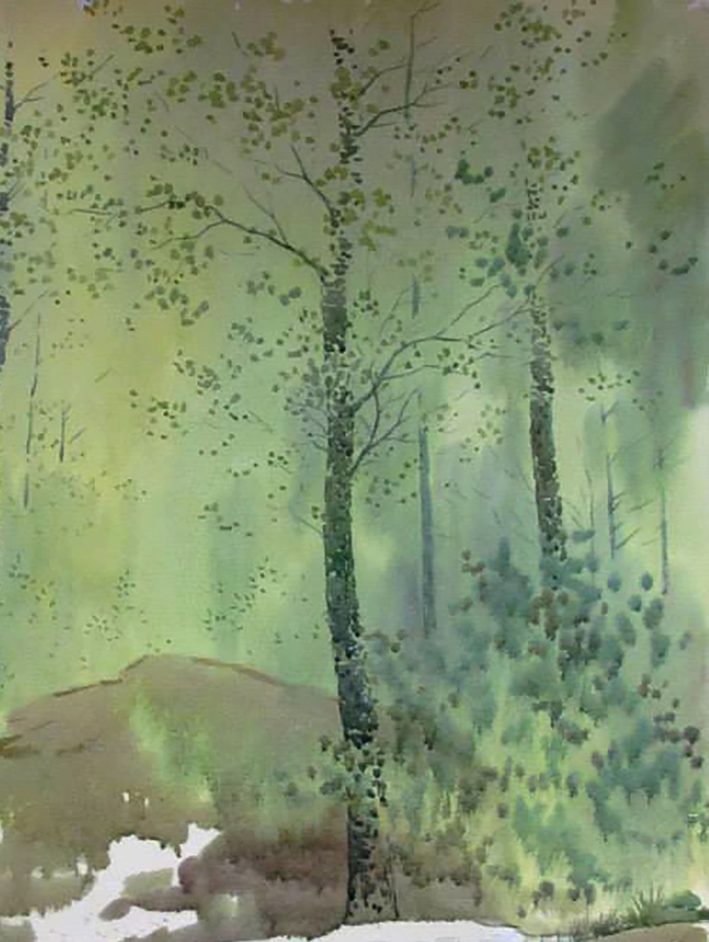 Spring Nature Landscape