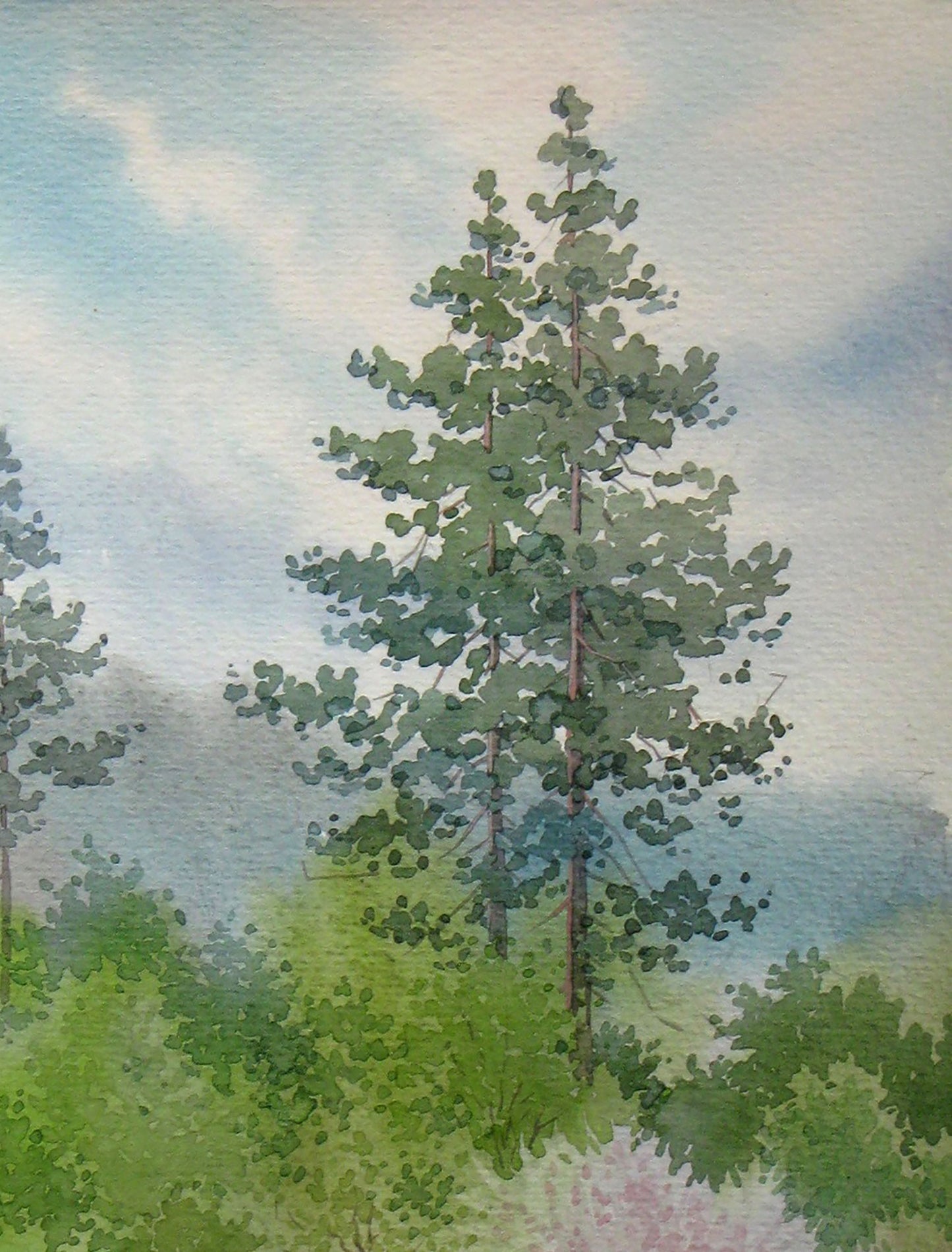 Spring Nature Landscape