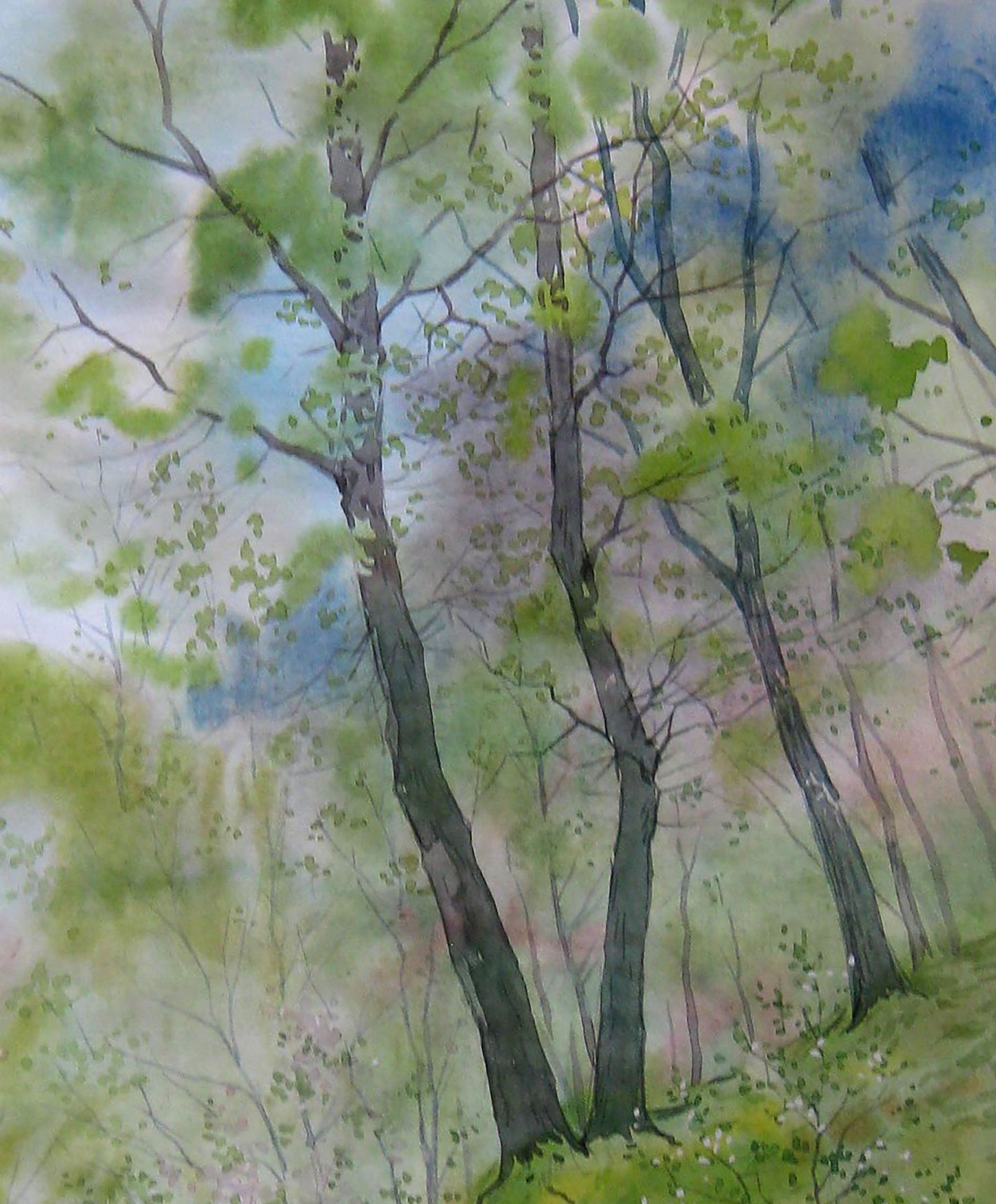 Spring Nature Landscape