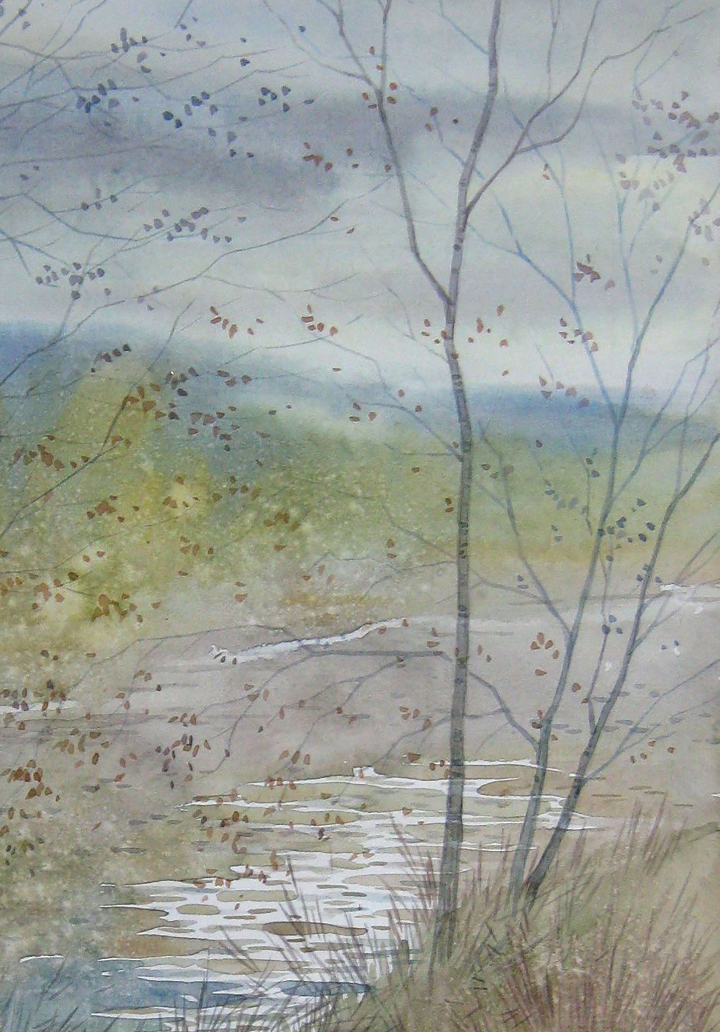 Autumn Nature Landscape