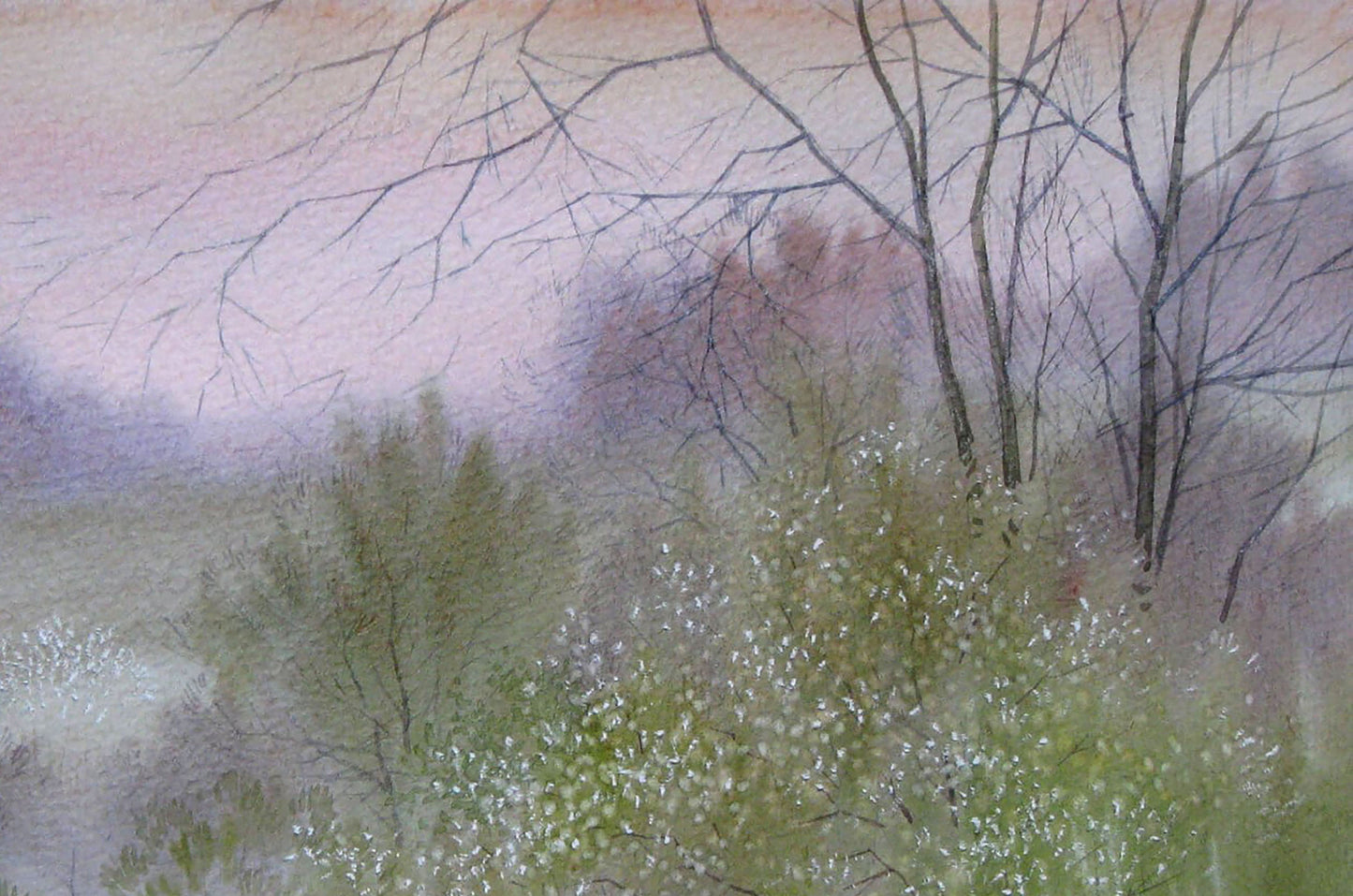 Watercolor painting Spring Forest Nature Landscape