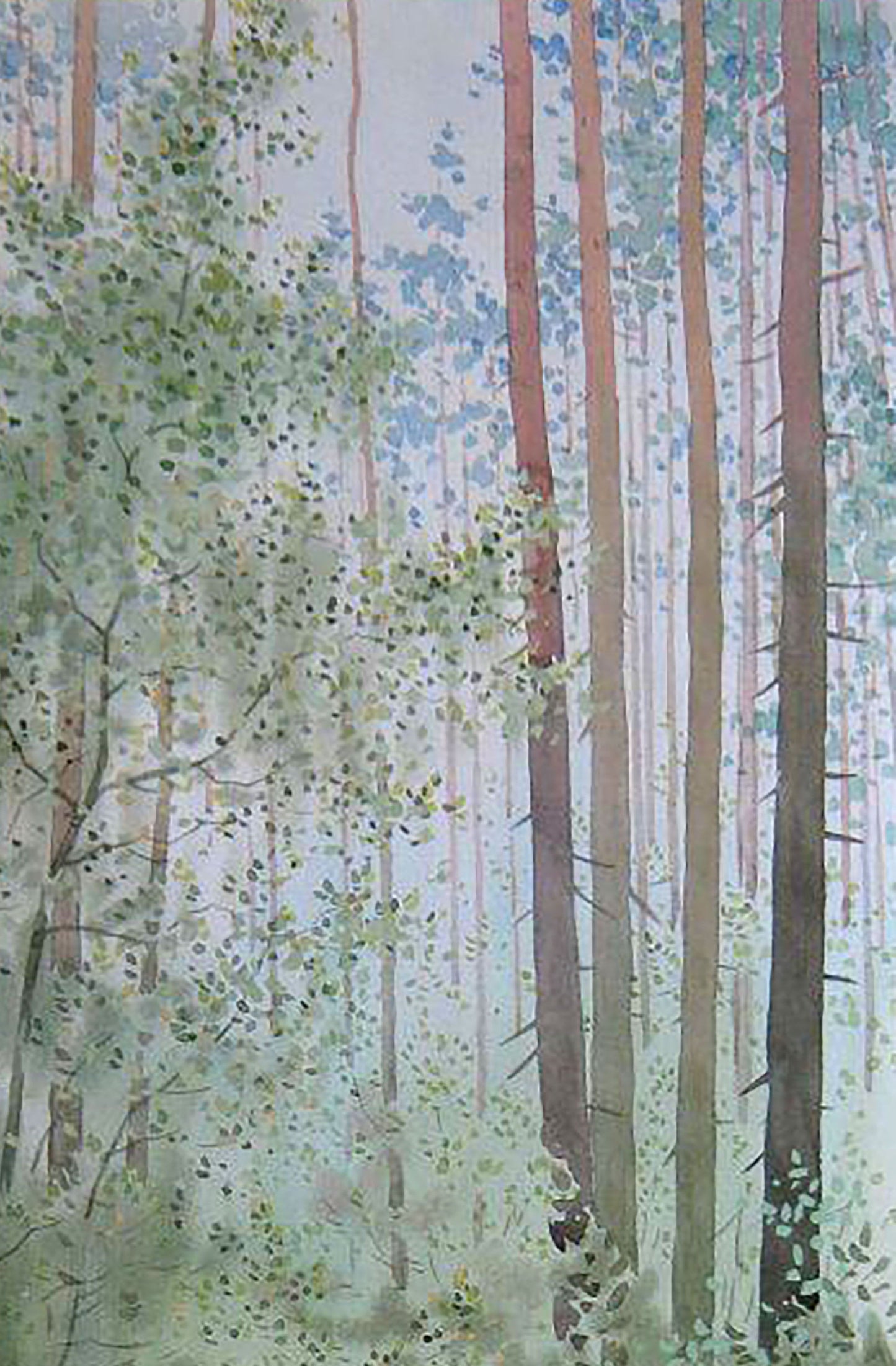 Spring Nature Landscape