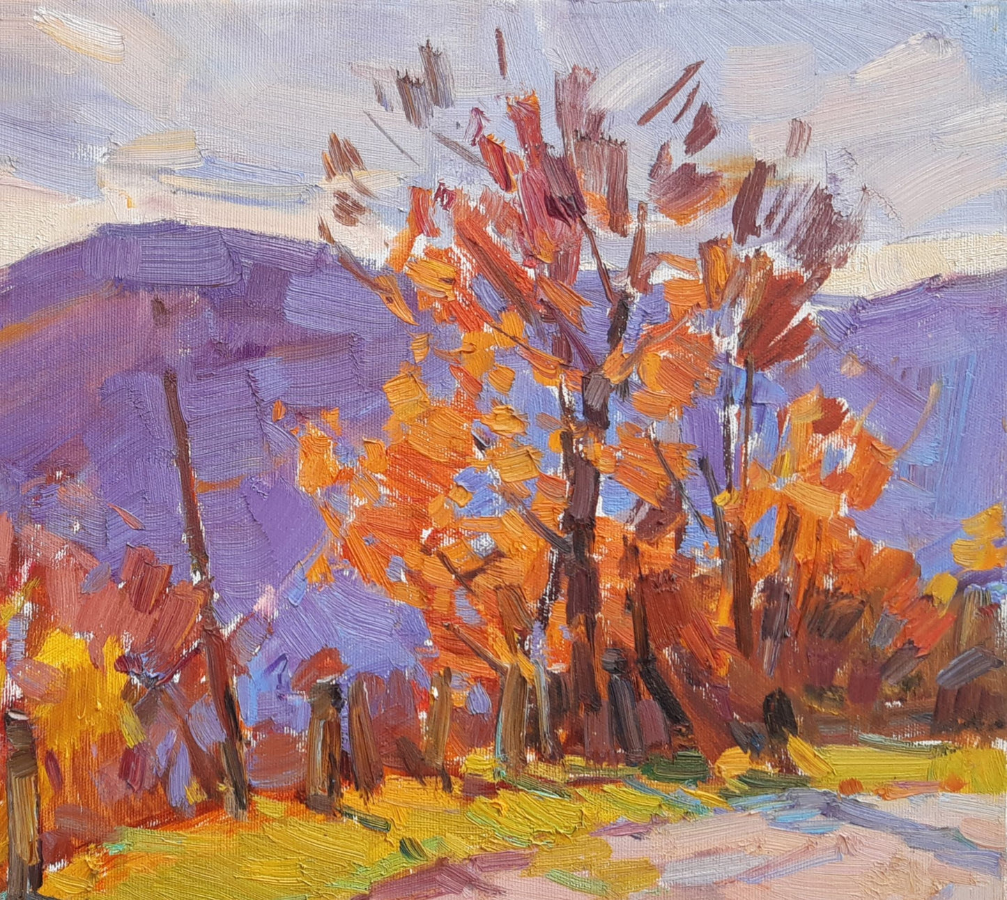 Oli painting Mountain Landscape Pereta Vyacheslav