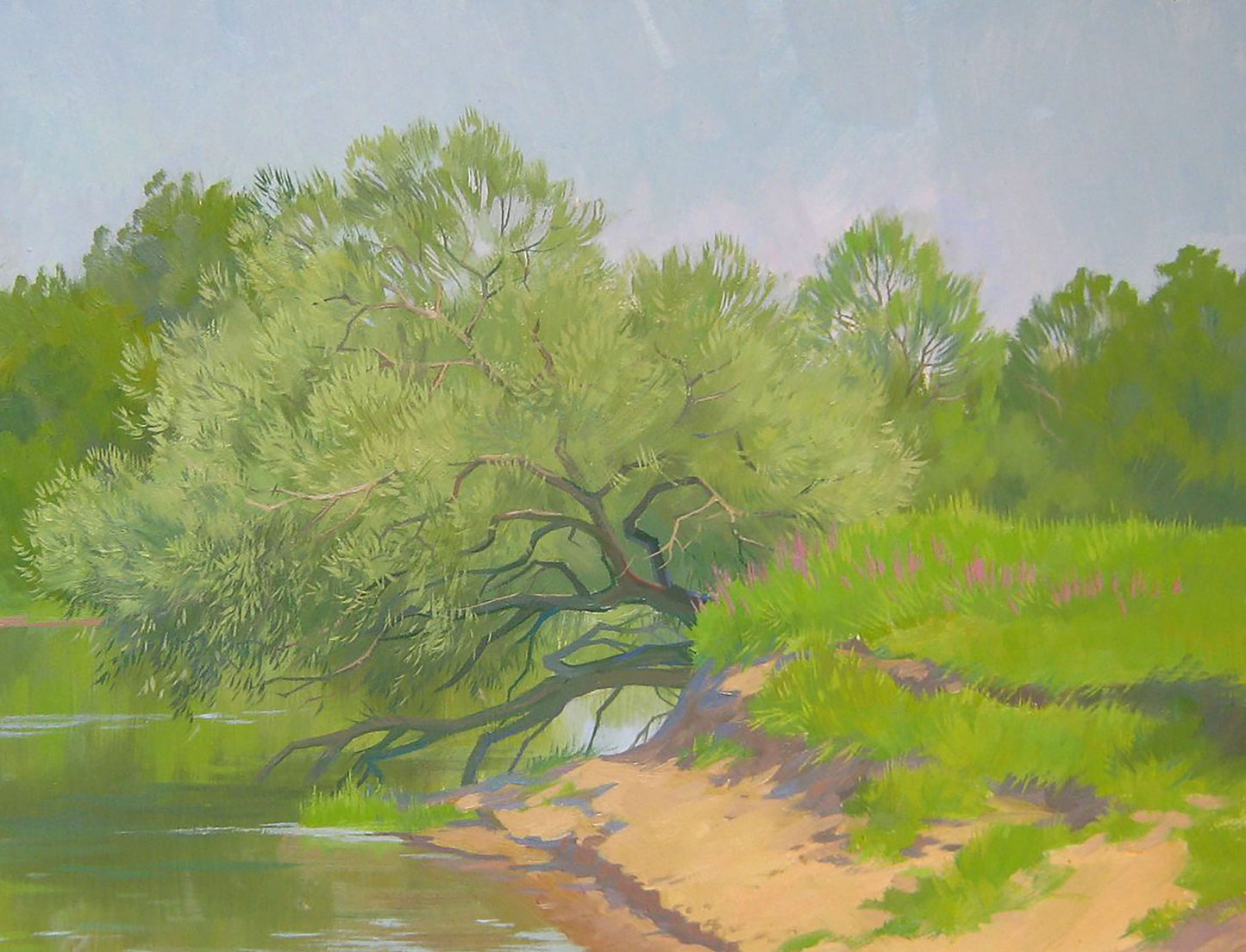 Oil Painting Forest Nature Landscape