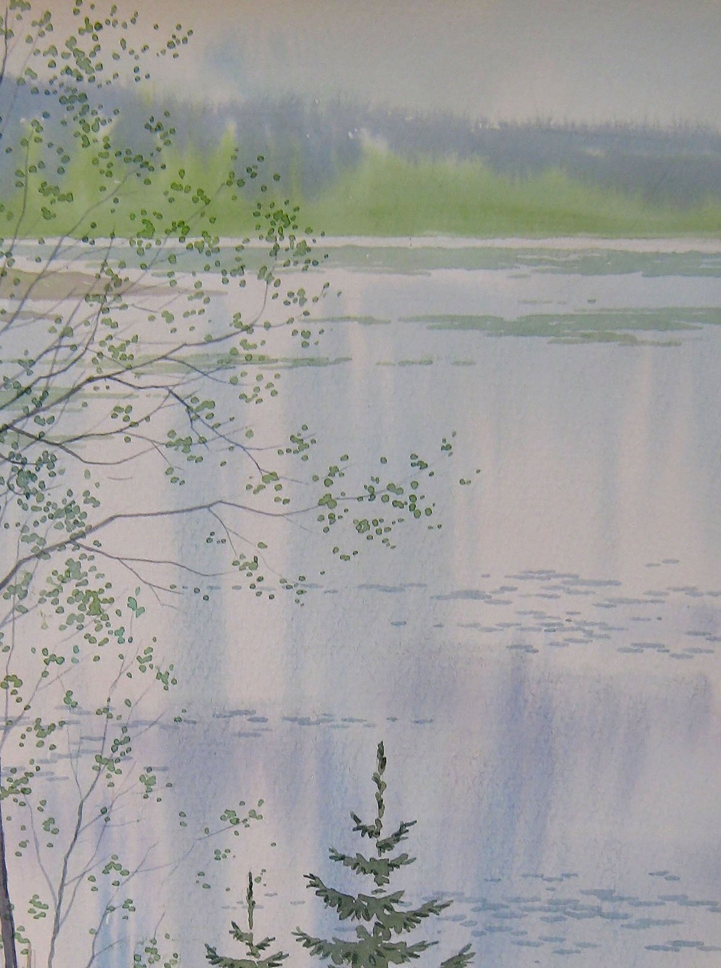 Spring Nature Landscape