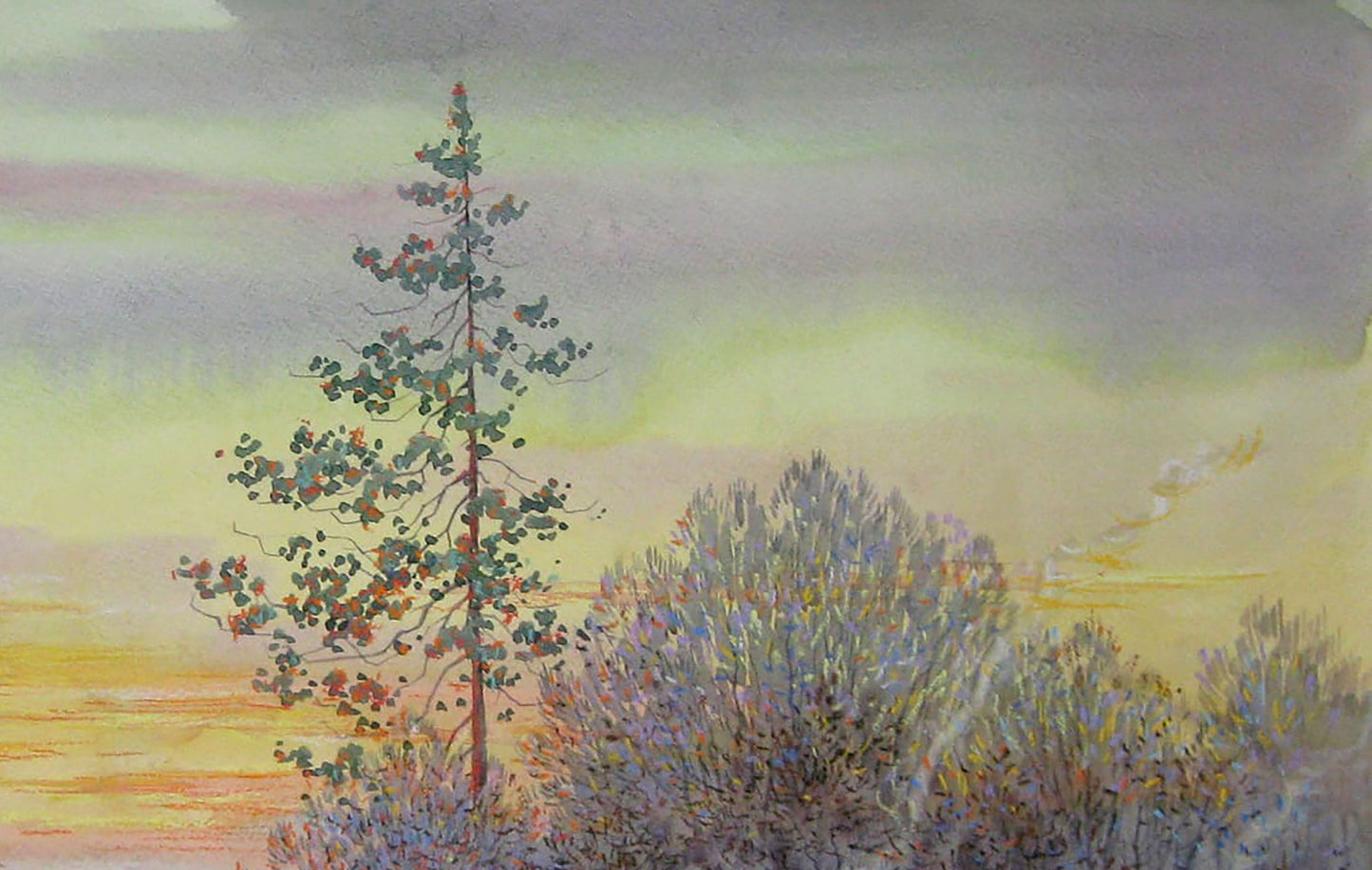 Spring Nature Landscape