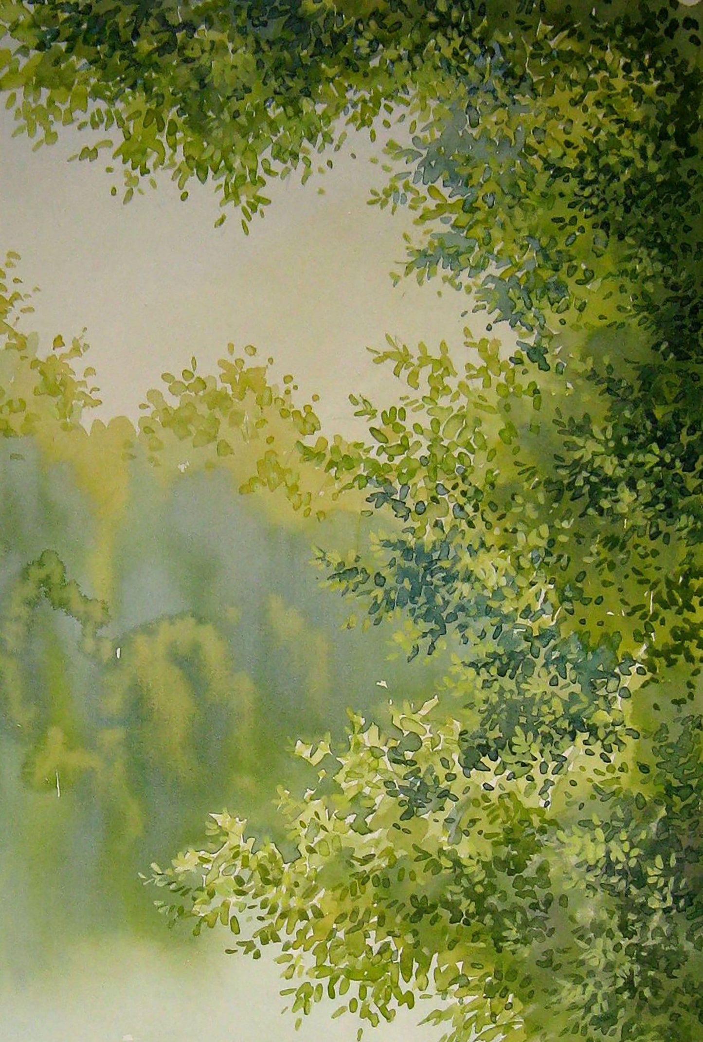 Spring Nature Landscape