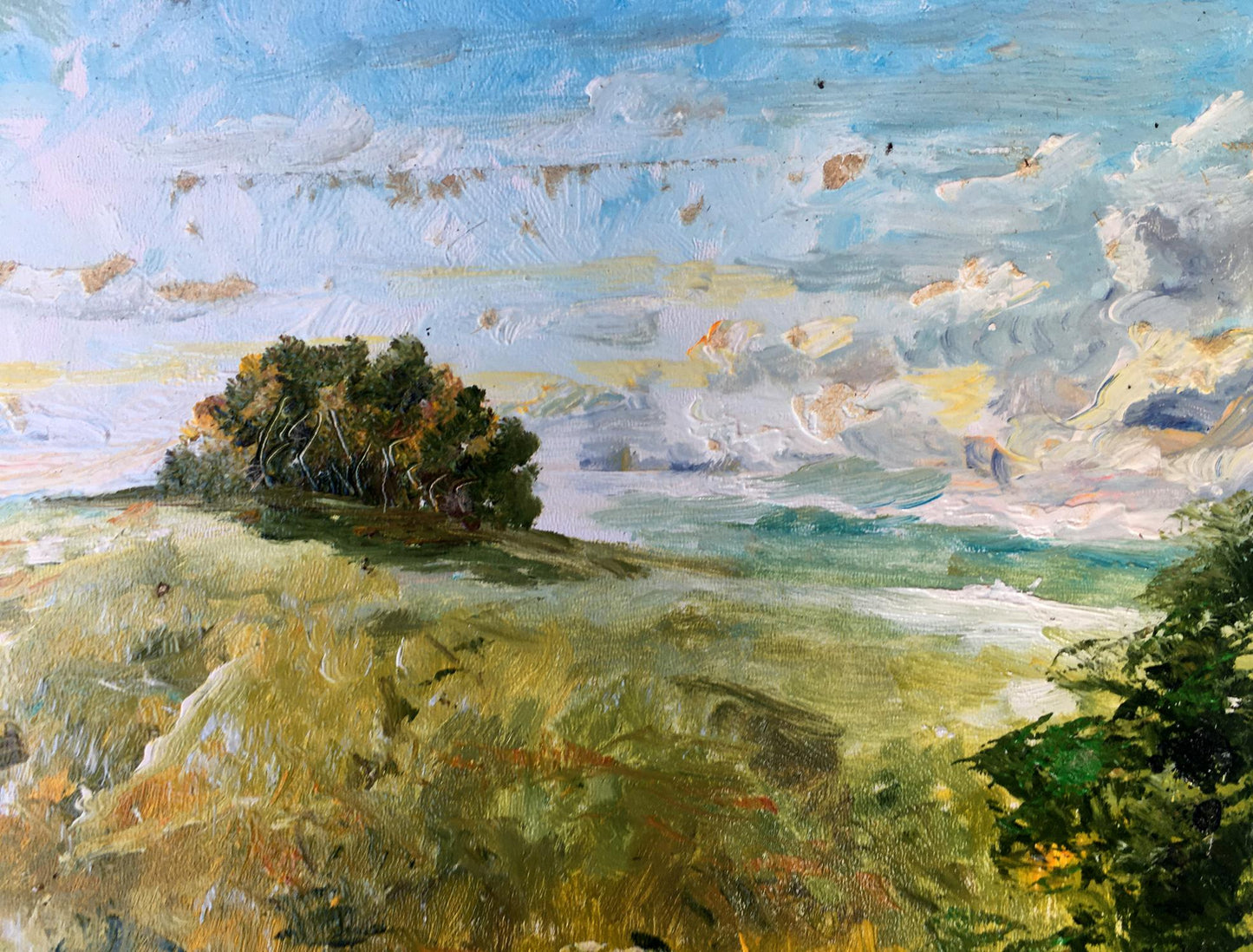 Oil painting Mountain fields Unknown artist