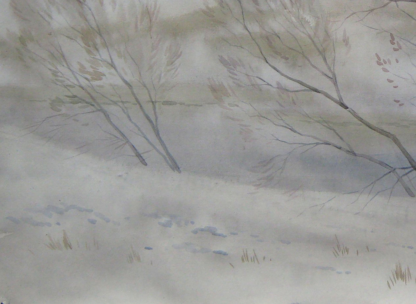 Winter countryside