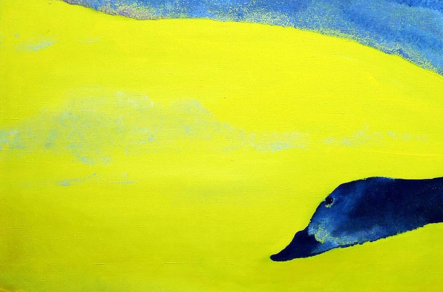 Contemporary Art landscape